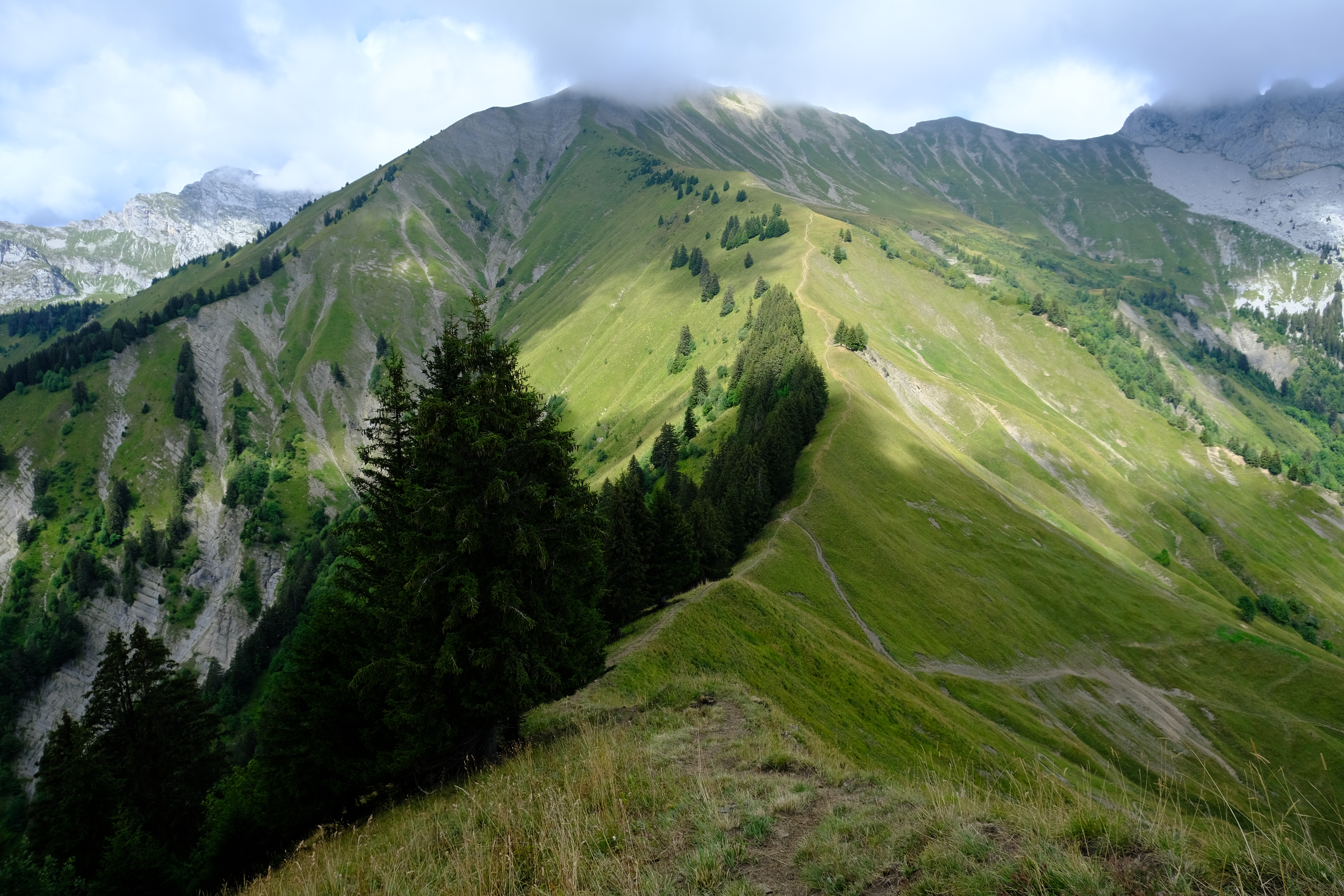 HD wallpaper landscape, nature, trees, grass, mountain, mountain range