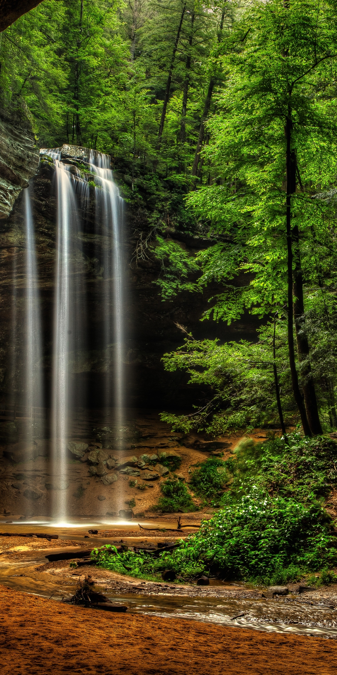 Download mobile wallpaper Waterfalls, Waterfall, Forest, Tree, Earth, Hdr for free.