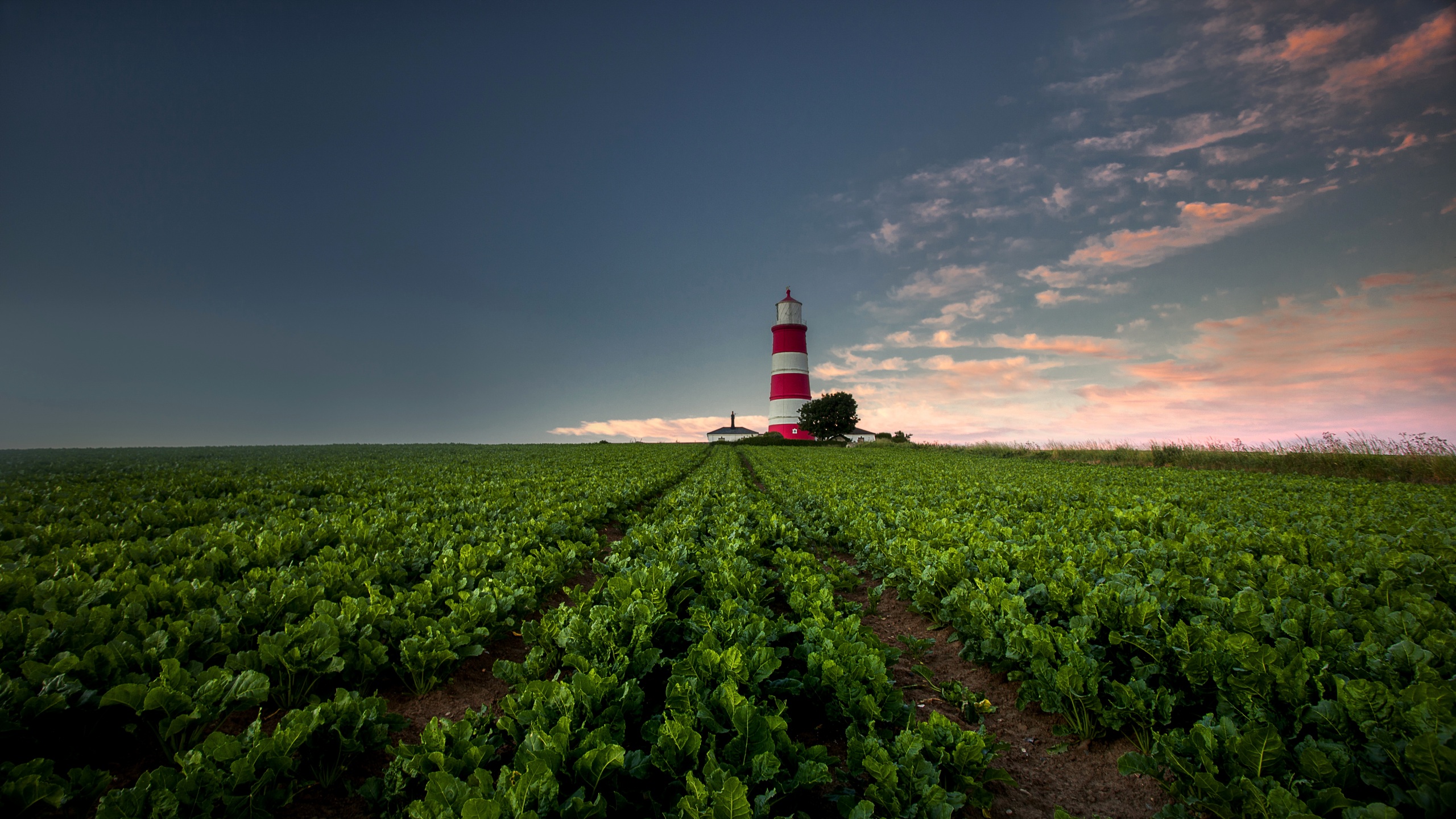 Free download wallpaper Earth, Field, Lighthouse, Man Made on your PC desktop