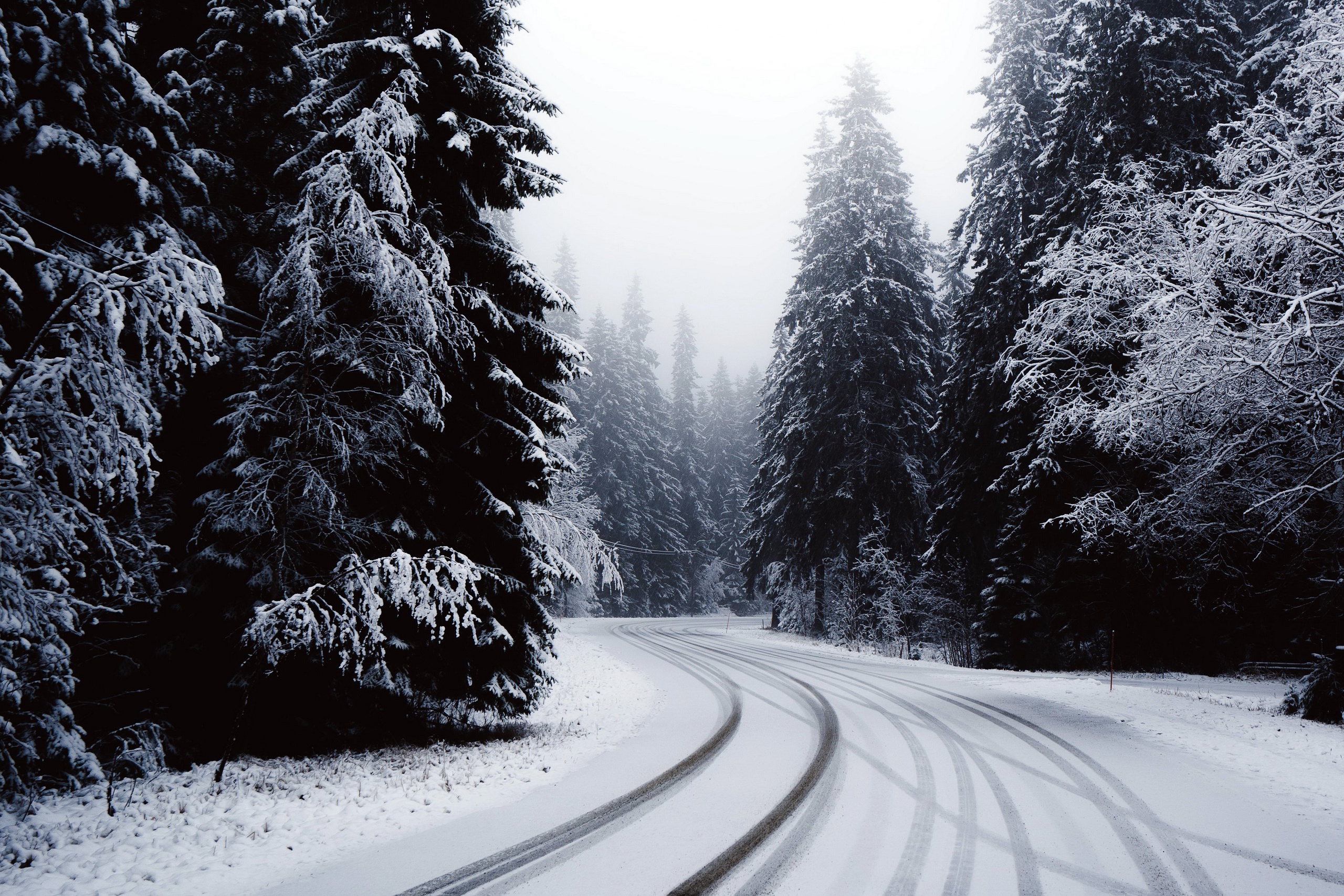 Laden Sie das Winter, Natur, Schnee, Straße, Wald, Menschengemacht-Bild kostenlos auf Ihren PC-Desktop herunter