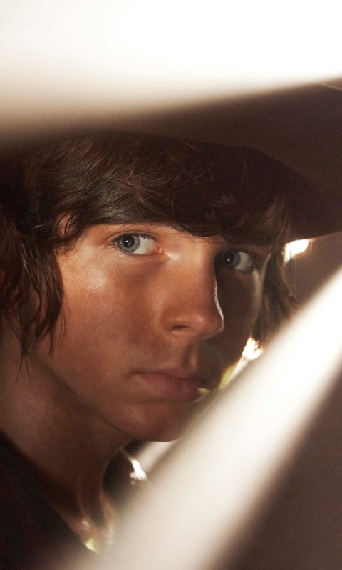 Download mobile wallpaper Tv Show, The Walking Dead, Carl Grimes for free.