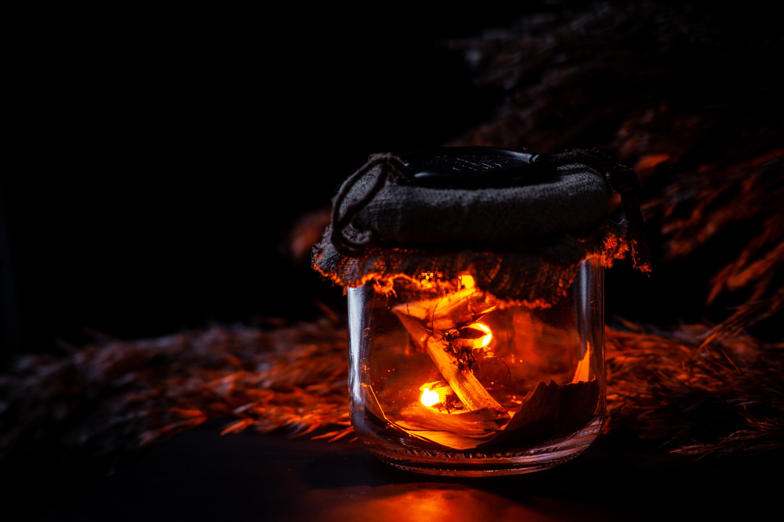 Download mobile wallpaper Fire, Insect, Lantern, Animal for free.