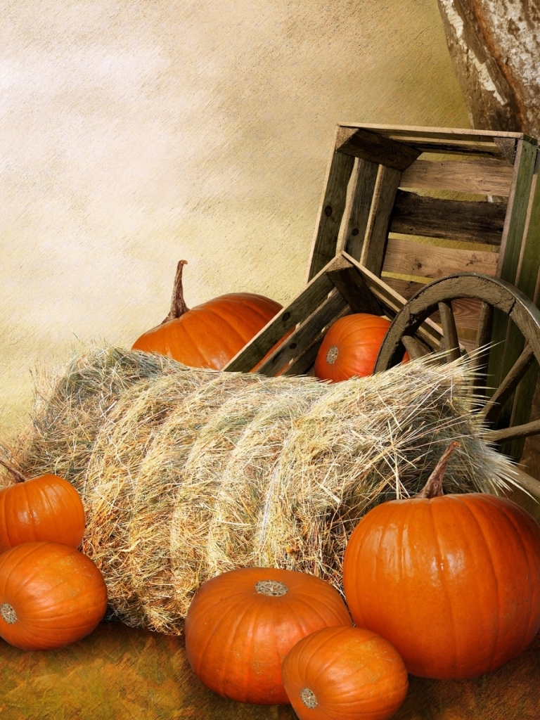 Скачать картинку Еда, Осень, Тыква, Падать, День Благодарения в телефон бесплатно.