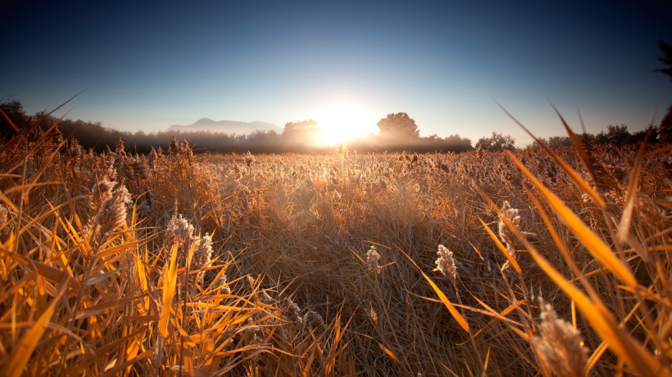 Téléchargez gratuitement l'image Terre/nature, Lever De Soleil sur le bureau de votre PC