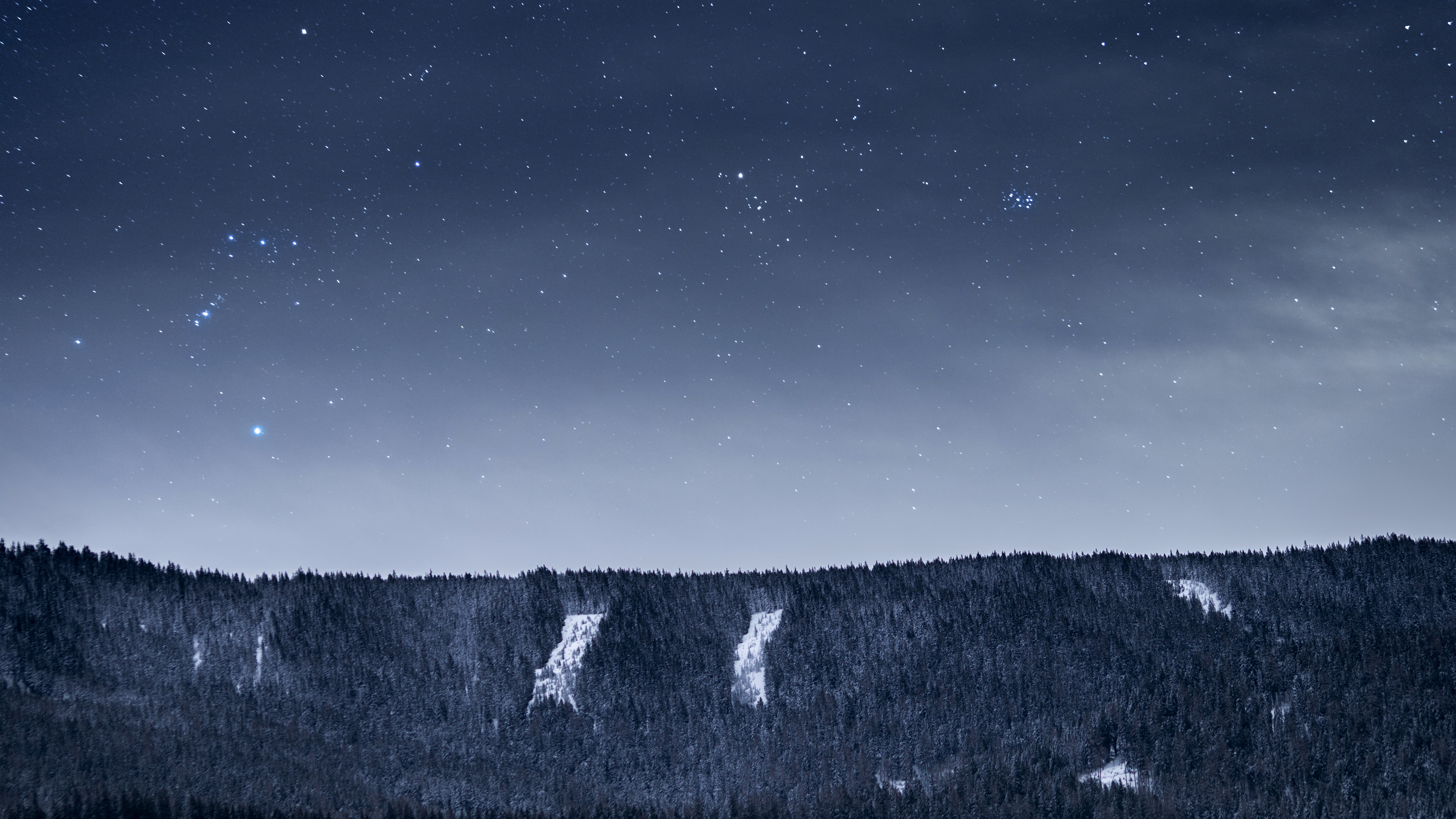 Download mobile wallpaper Stars, Night, Snow, Forest, Sci Fi for free.