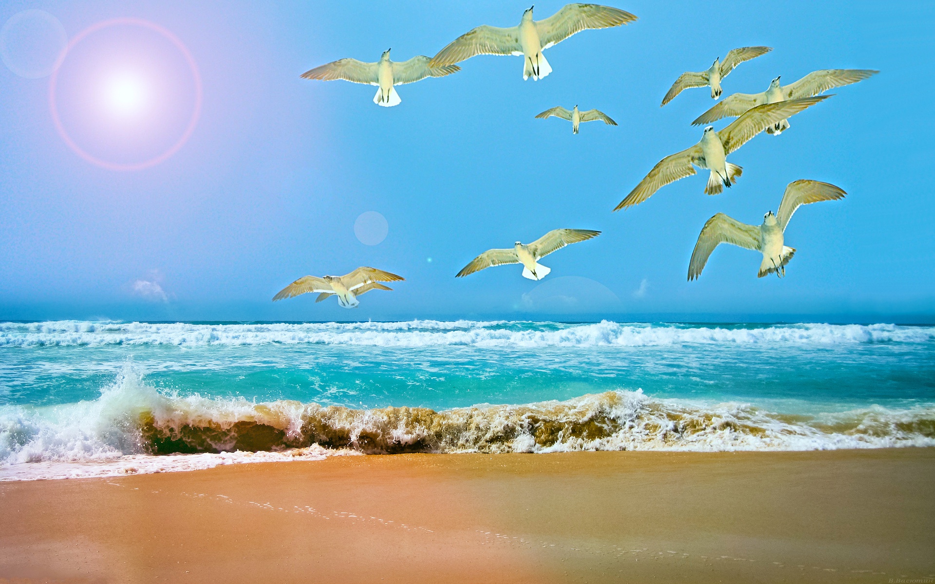 Download mobile wallpaper Birds, Sea, Beach, Bird, Animal, Seagull for free.