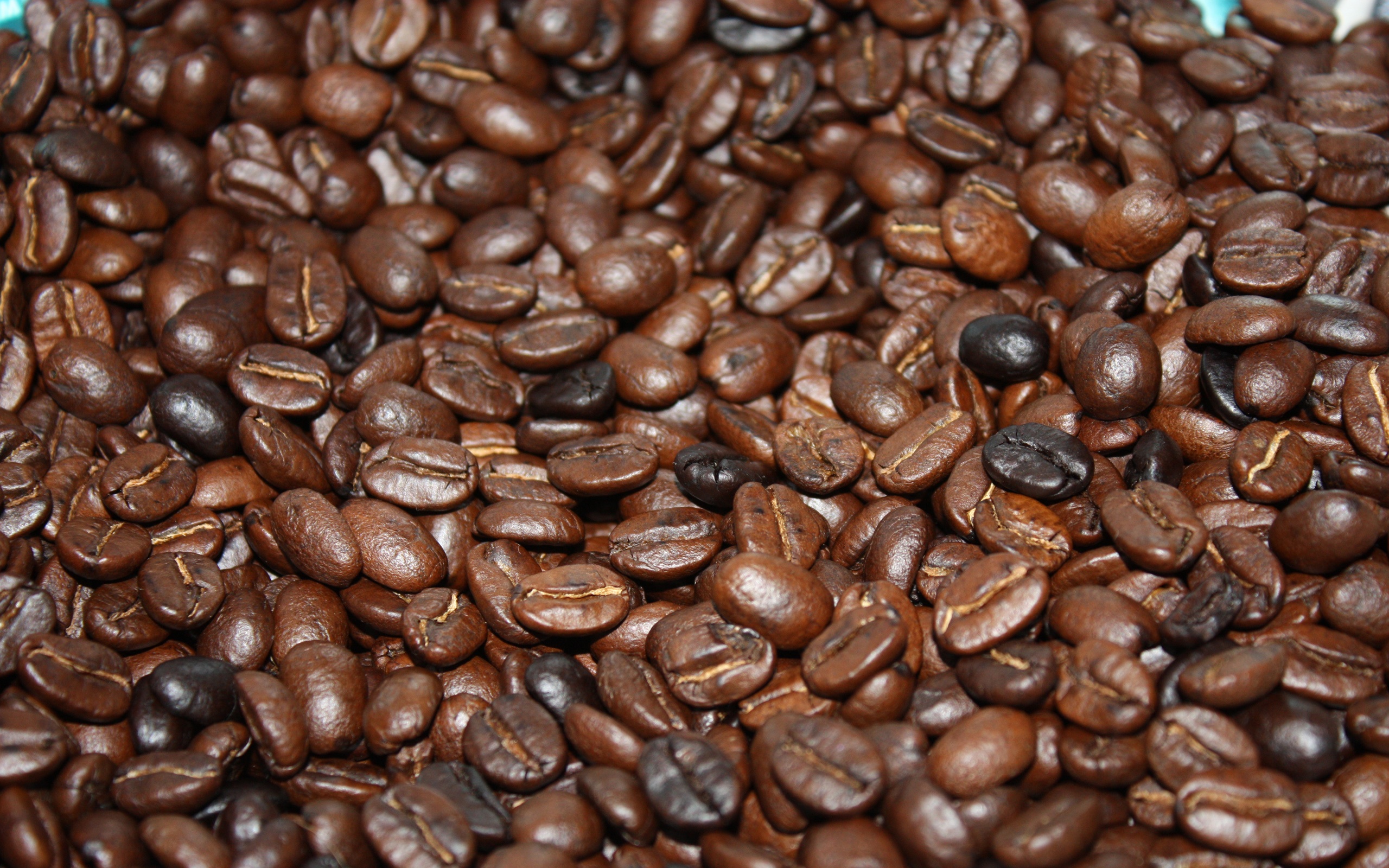 Free download wallpaper Food, Coffee, Coffee Beans on your PC desktop