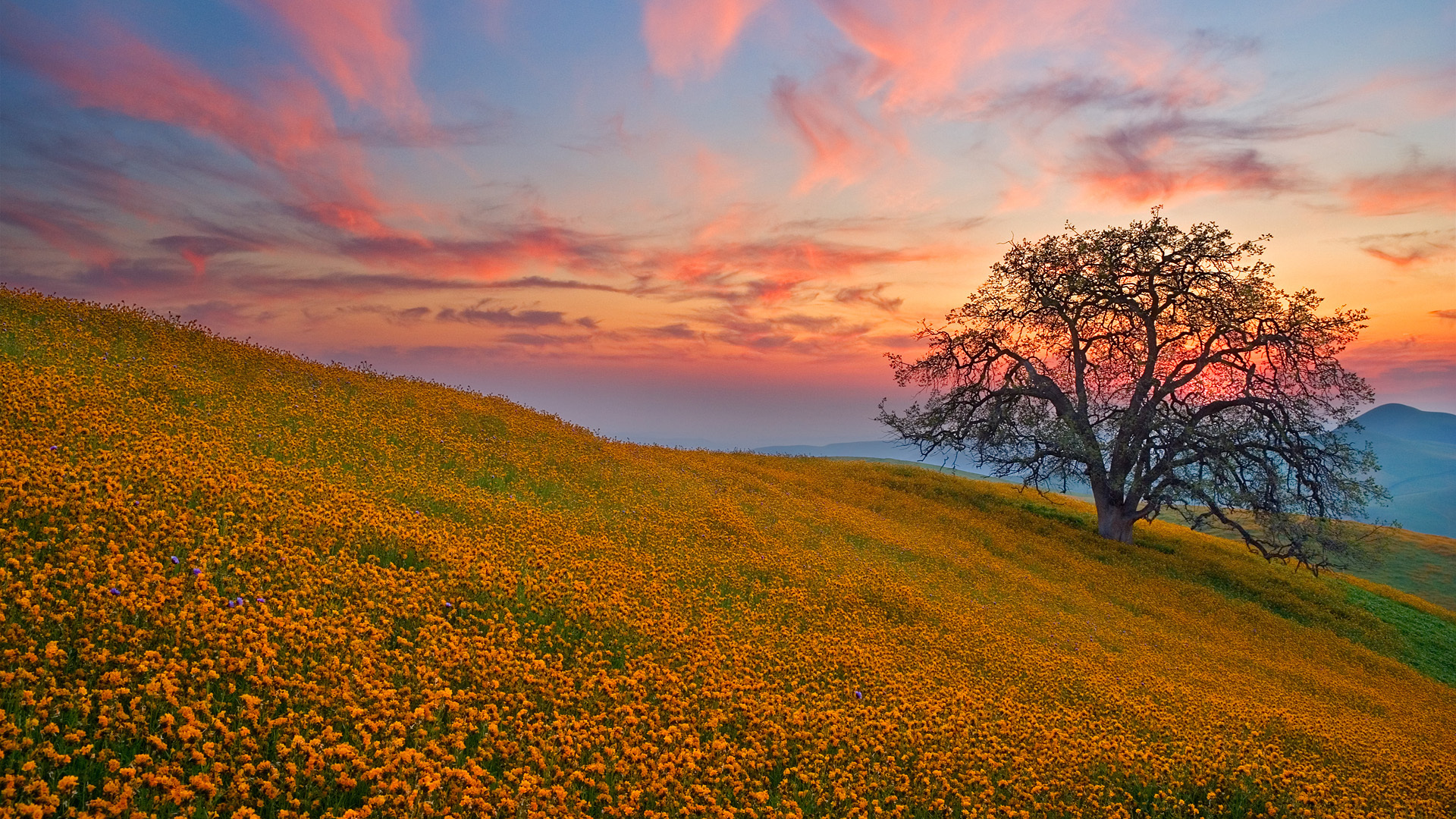 Descarga gratis la imagen Pintoresco, Tierra/naturaleza en el escritorio de tu PC