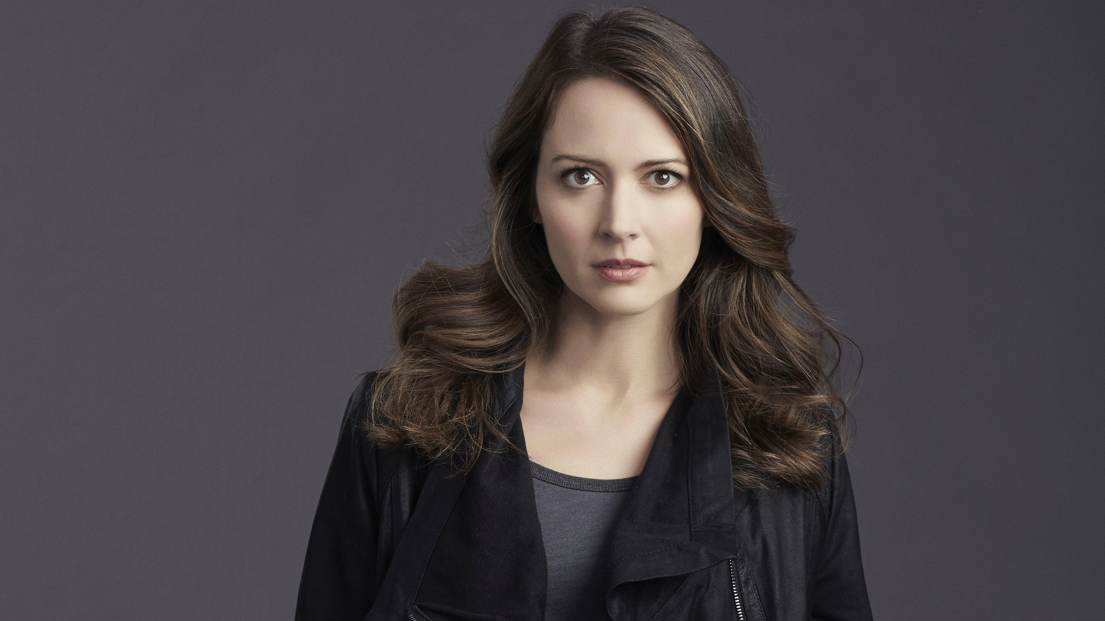 tv show, person of interest, amy acker