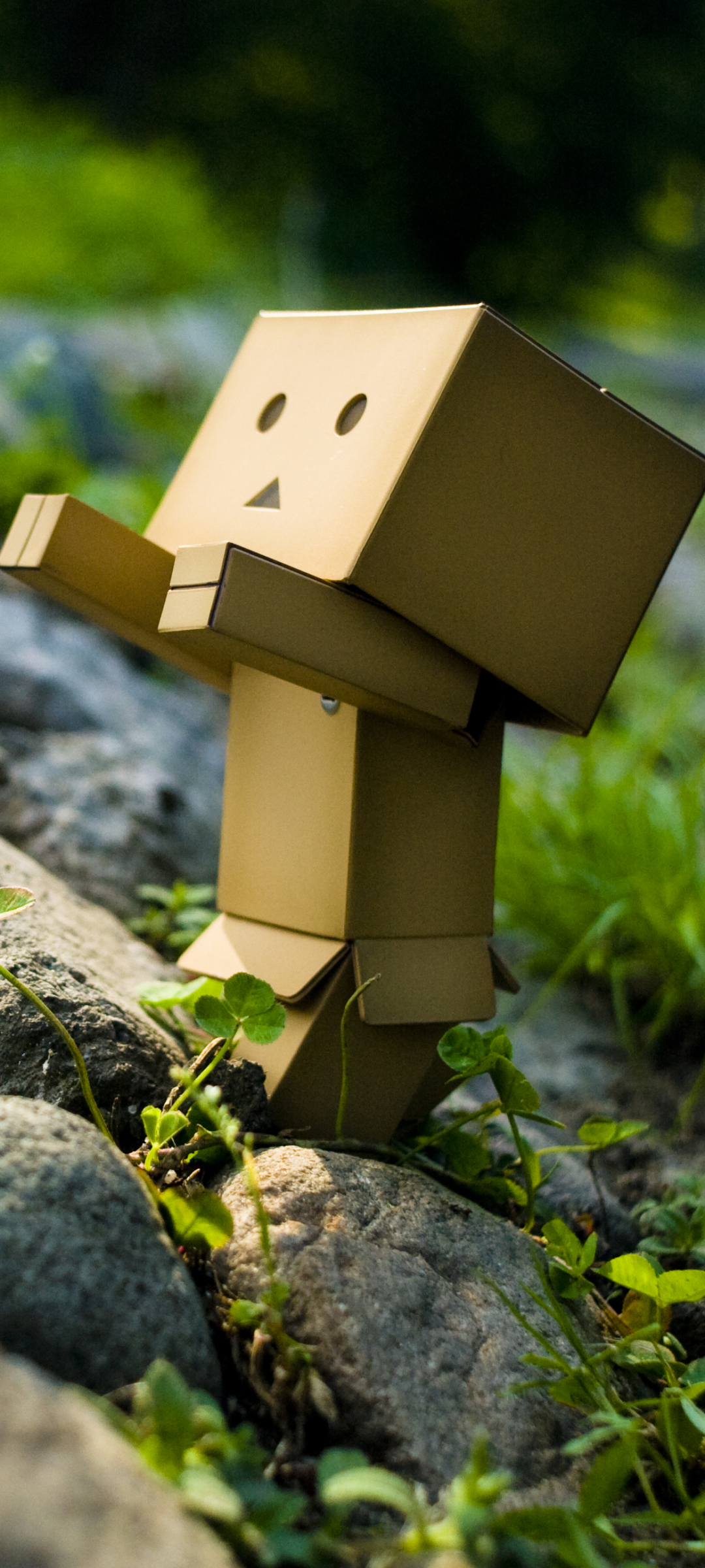 Handy-Wallpaper Verschiedenes, Danbo kostenlos herunterladen.