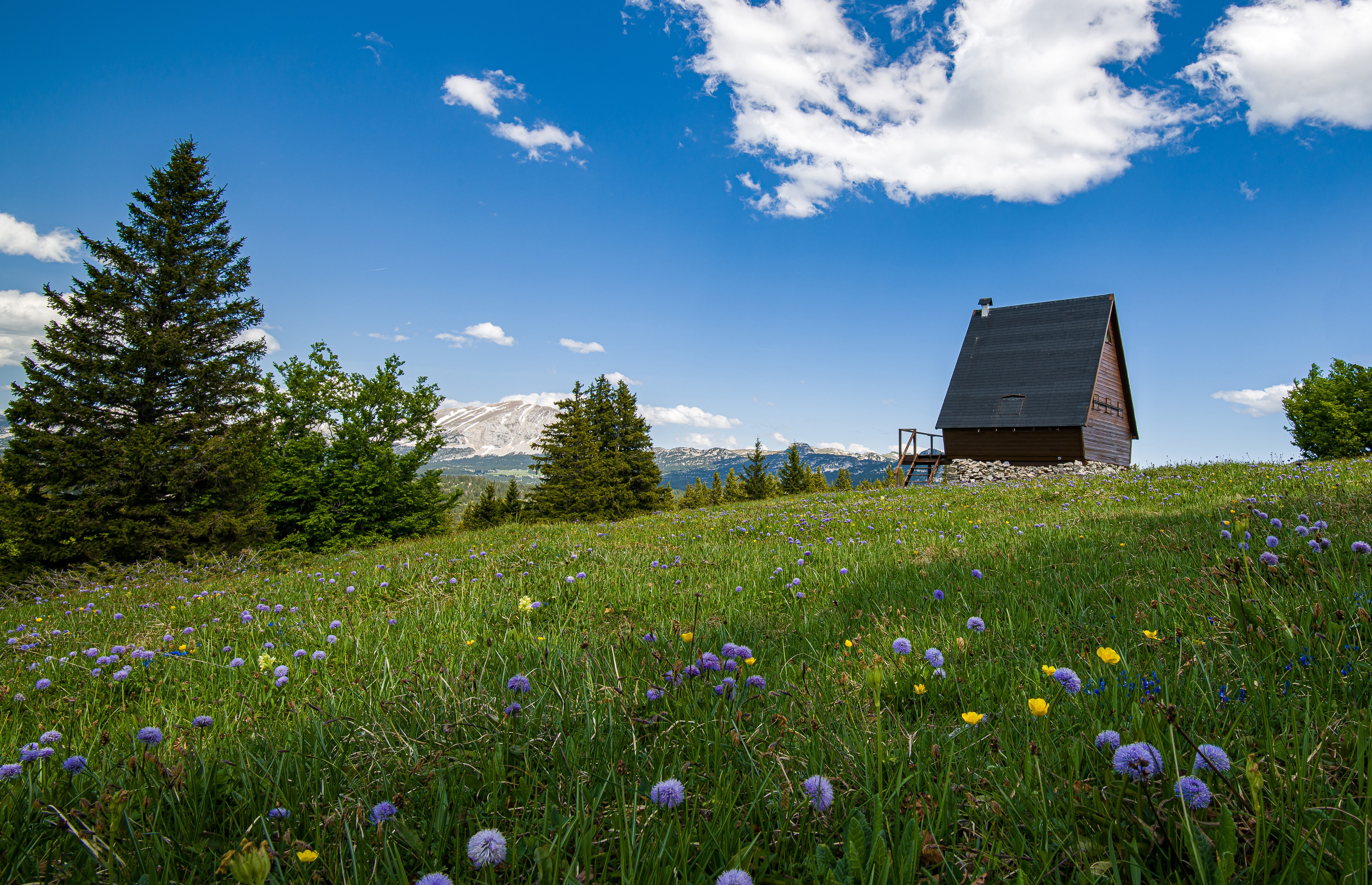 Free download wallpaper Landscape, Tree, House, Alps, Switzerland, Meadow, Photography on your PC desktop