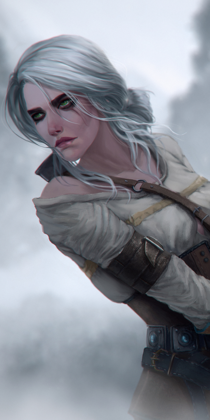 Download mobile wallpaper Silhouette, Green Eyes, Video Game, White Hair, Woman Warrior, The Witcher, The Witcher 3: Wild Hunt, Ciri (The Witcher) for free.