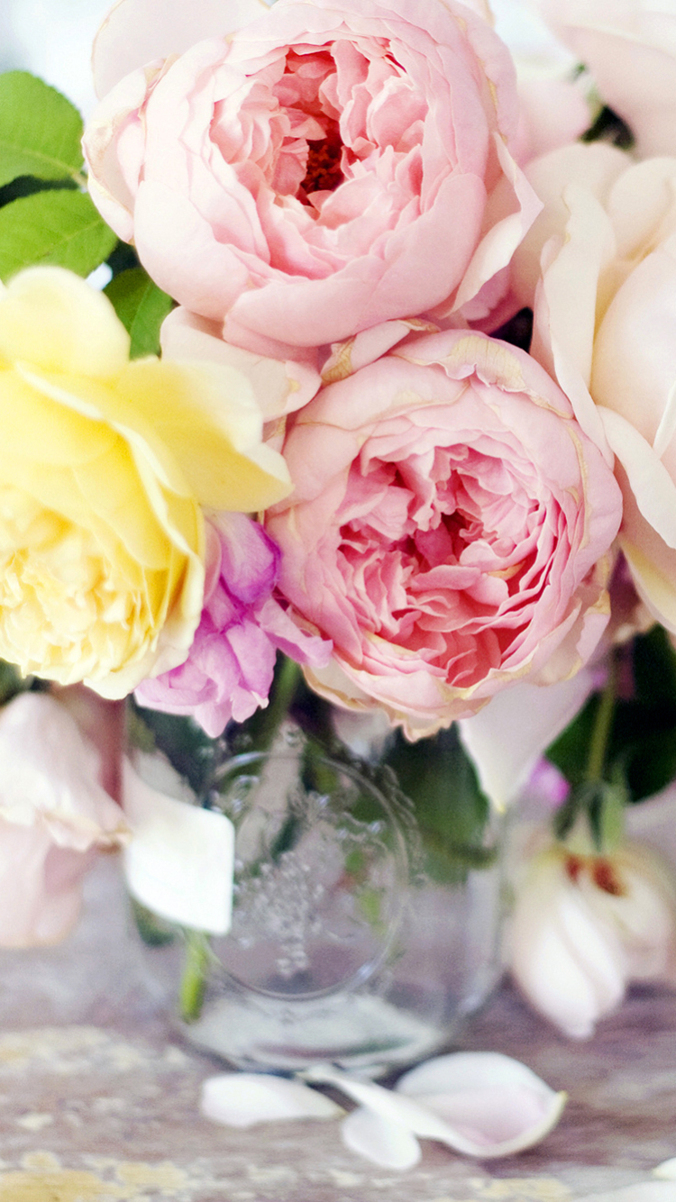 Download mobile wallpaper Flower, Earth, Vase, Peony, Man Made, Pink Flower for free.