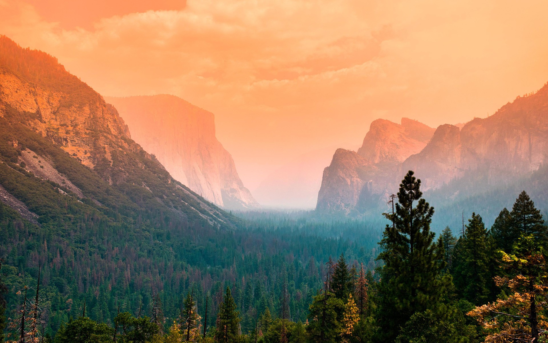Скачать обои бесплатно Природа, Гора, Лес, Национальный Парк, Ландшафт, Йосемитский Национальный Парк, Земля/природа, Утёс картинка на рабочий стол ПК