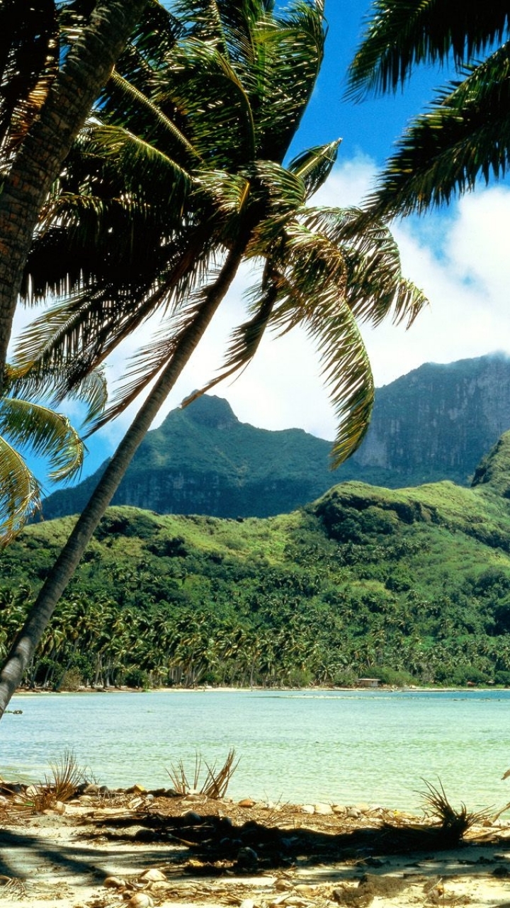 Descarga gratuita de fondo de pantalla para móvil de Playa, Tierra/naturaleza.