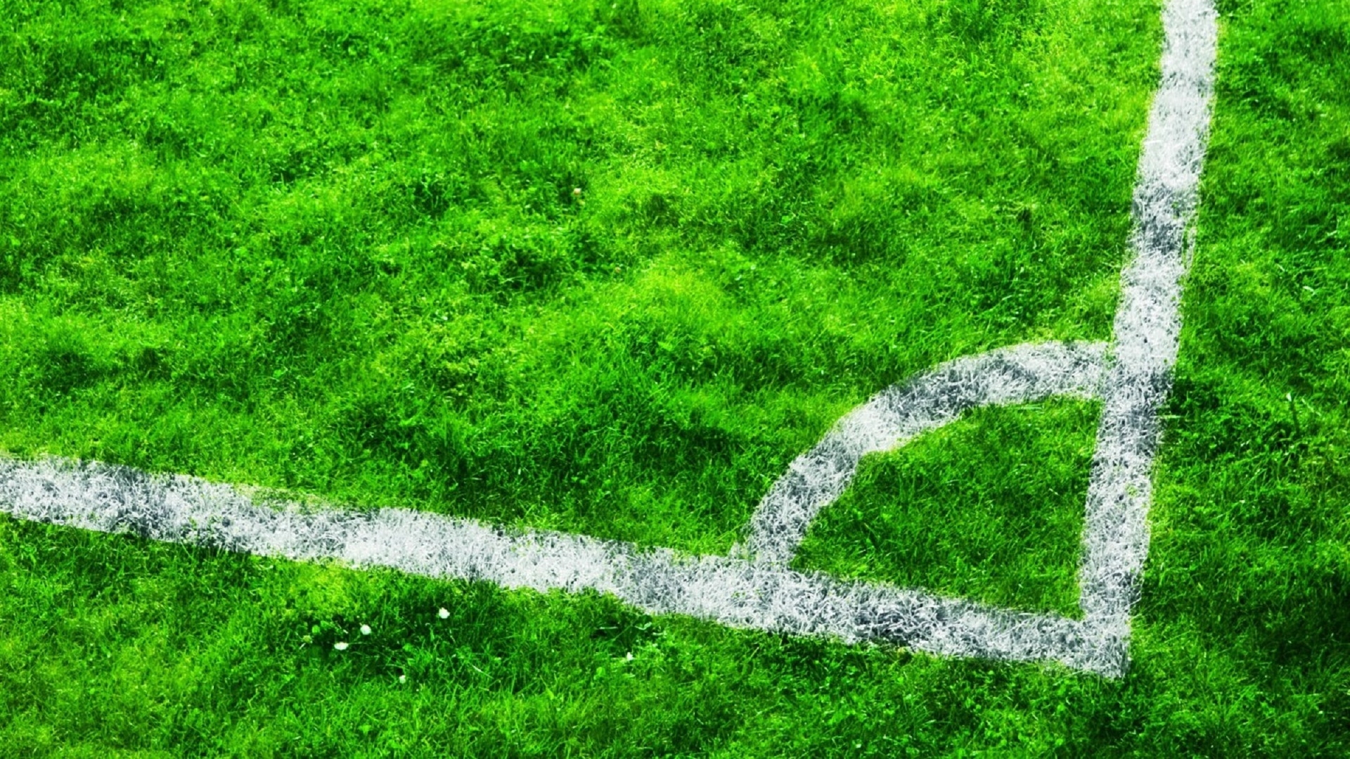 wallpapers lawn, nature, grass, markup, field