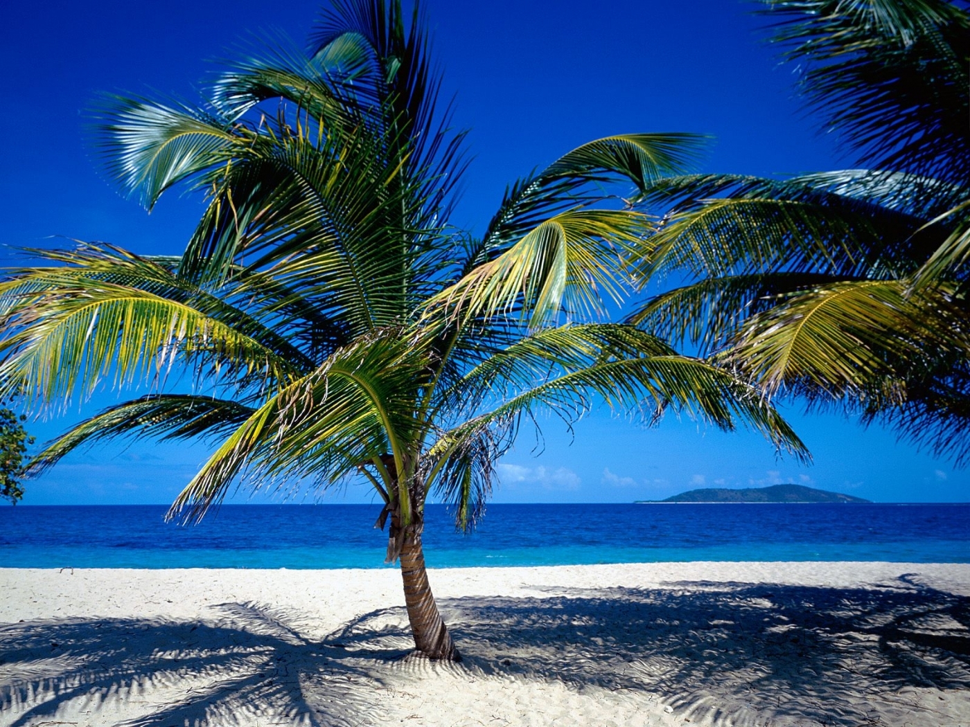 Скачати мобільні шпалери Пейзаж, Пальми, Море, Пляж безкоштовно.