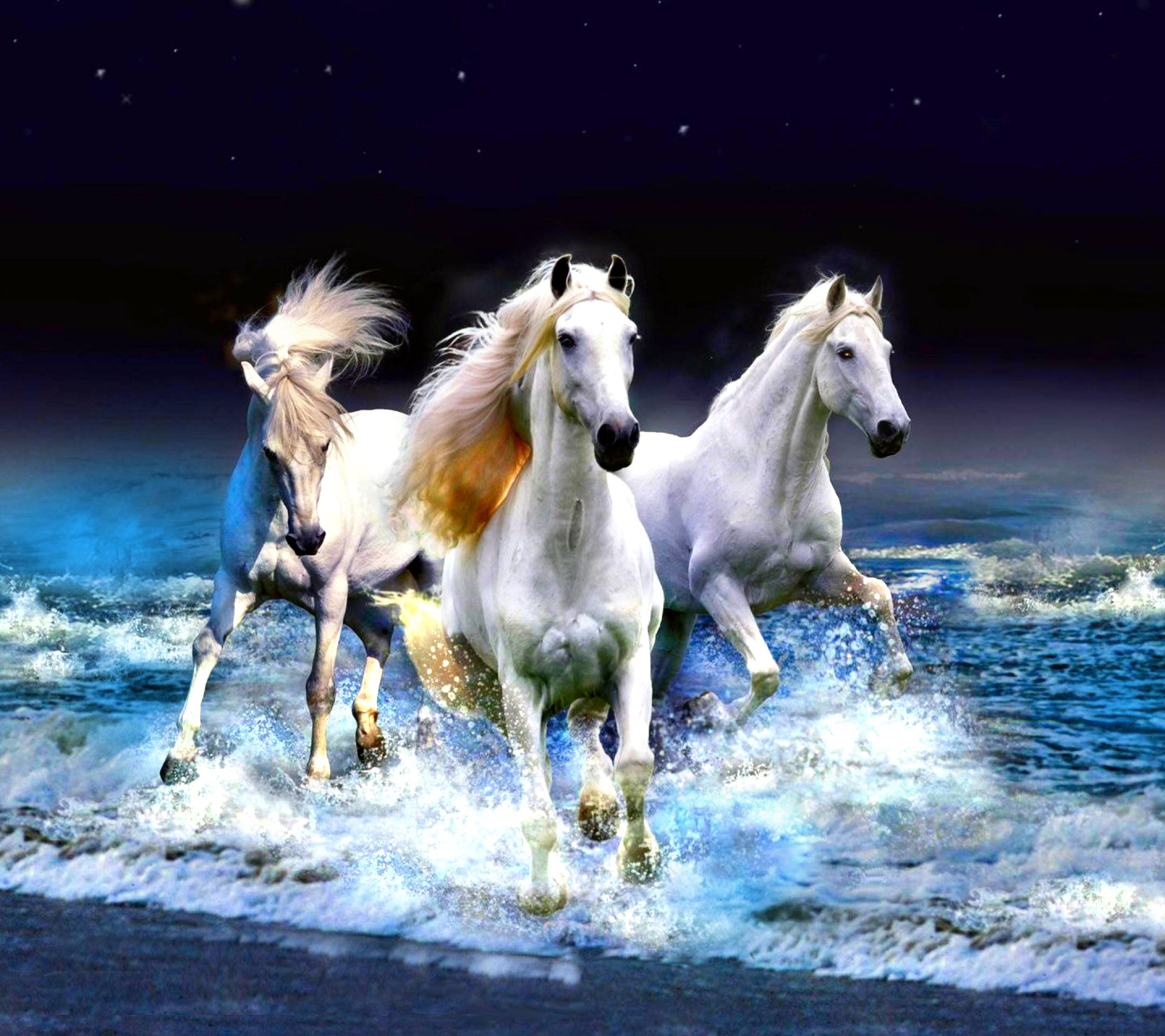 無料モバイル壁紙動物, 馬, 海, ビーチ, 地平線をダウンロードします。