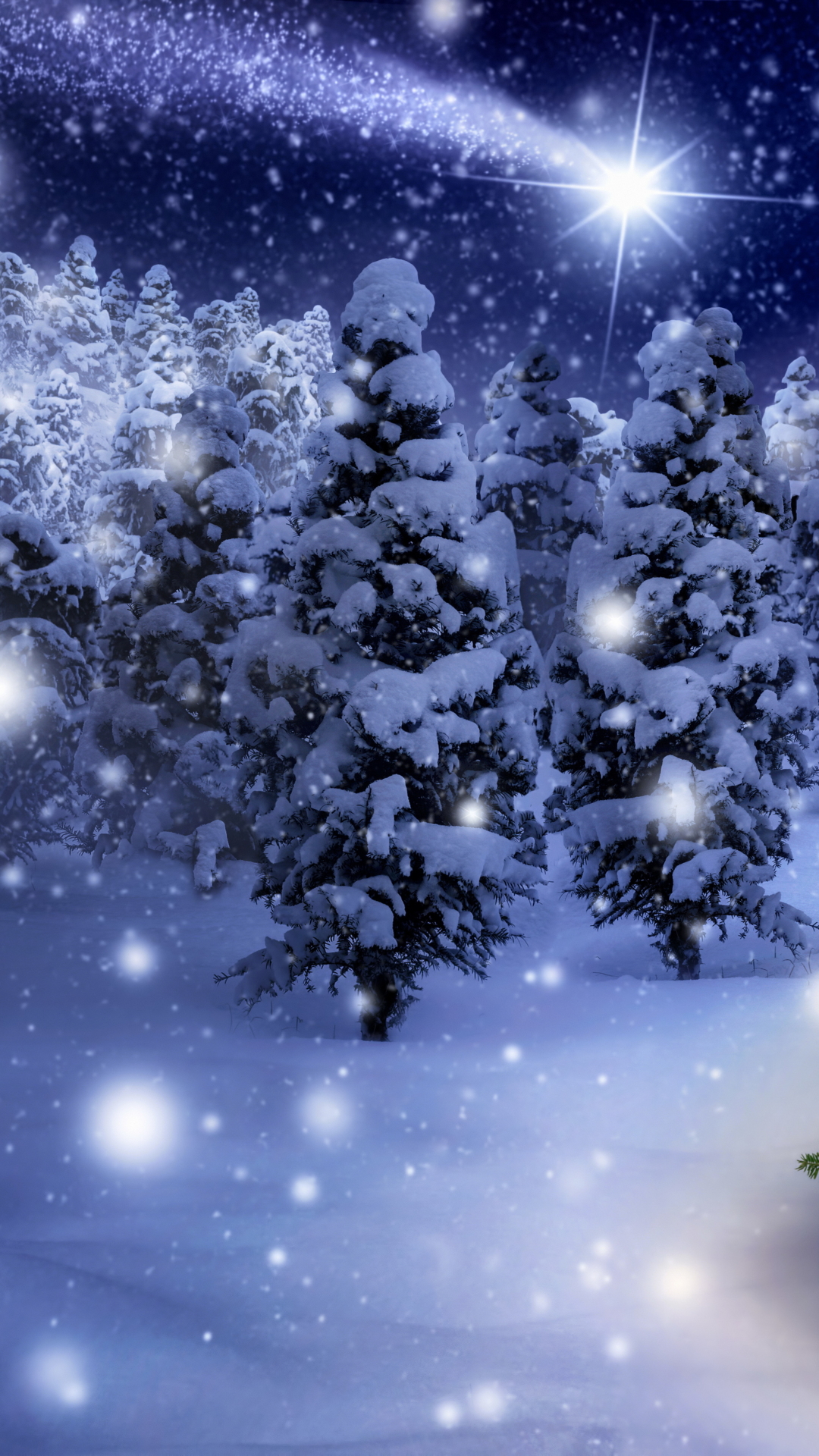 Handy-Wallpaper Feiertage, Schnee, Weihnachten, Licht, Wald, Weihnachtsbaum kostenlos herunterladen.