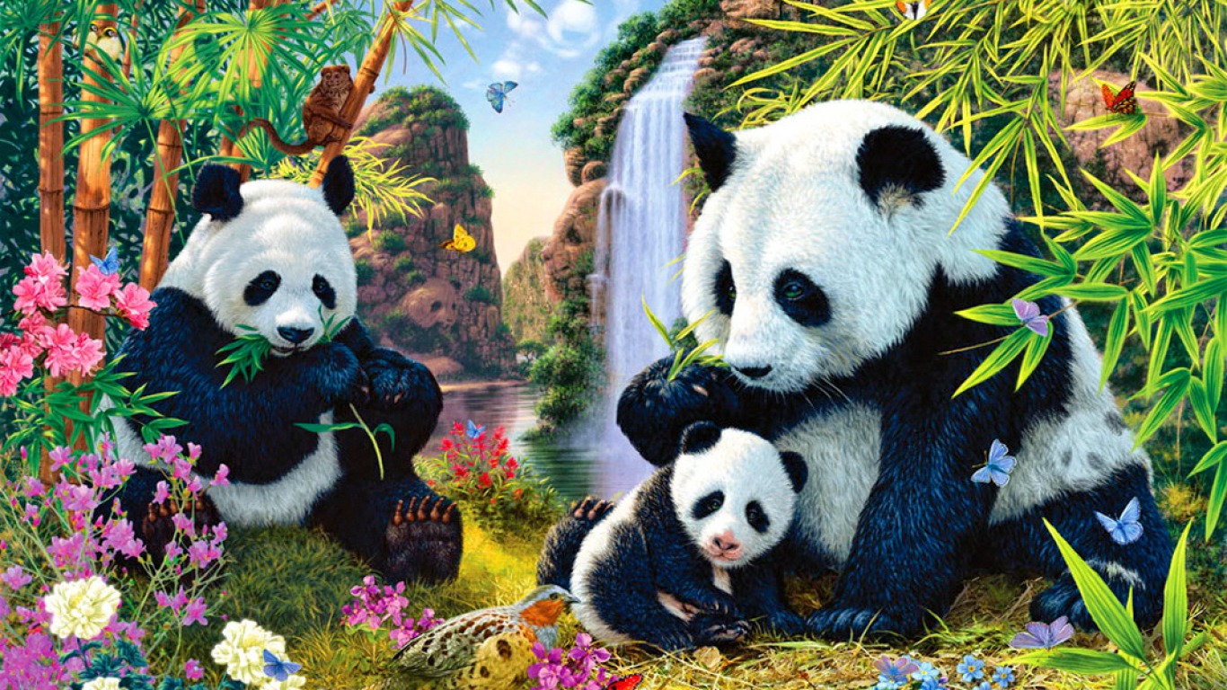 625791 descargar fondo de pantalla panda, oso, animales: protectores de pantalla e imágenes gratis