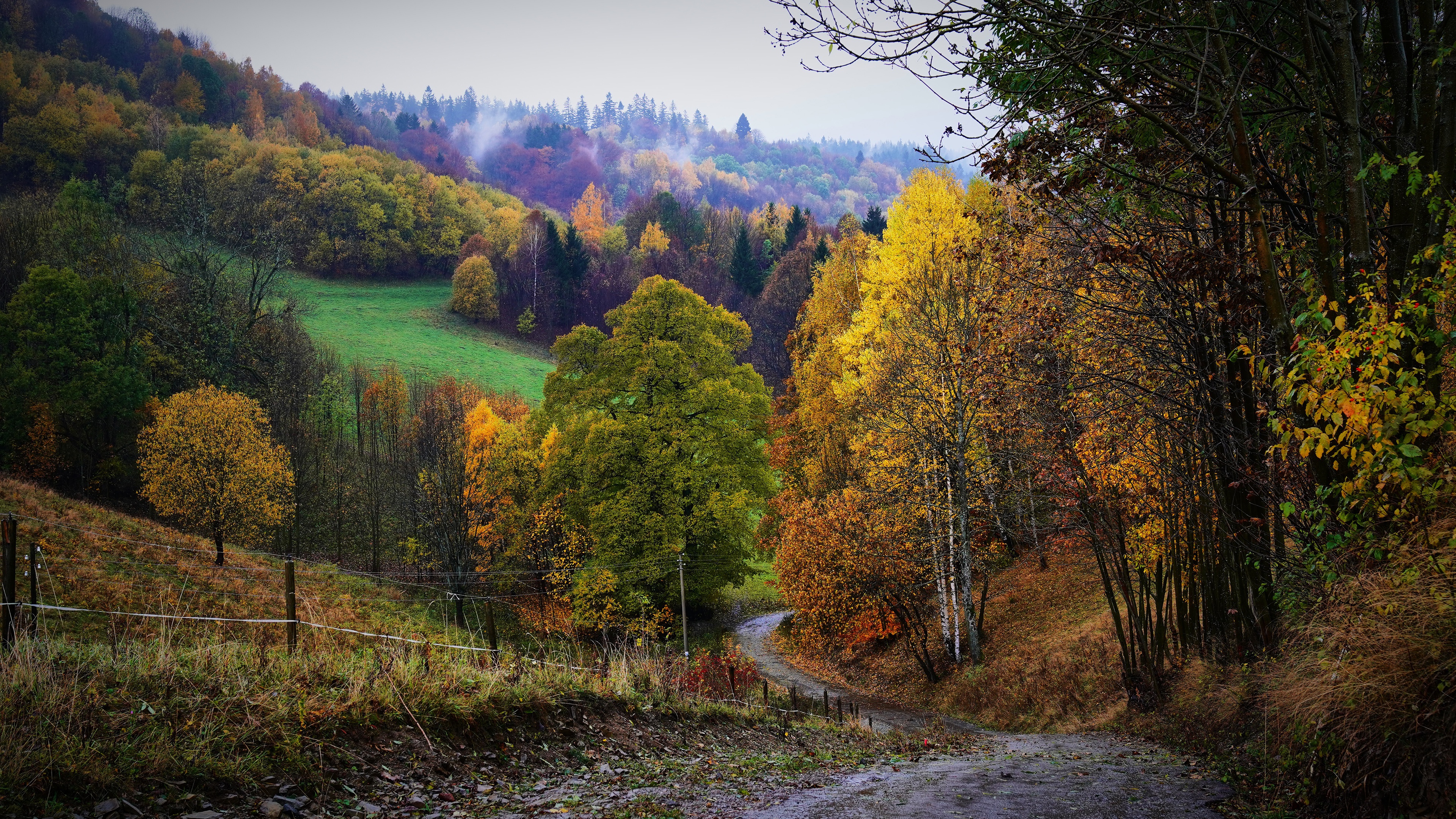 Laden Sie das Herbst, Wald, Nebel, Pfad, Hügel, Zaun, Menschengemacht-Bild kostenlos auf Ihren PC-Desktop herunter