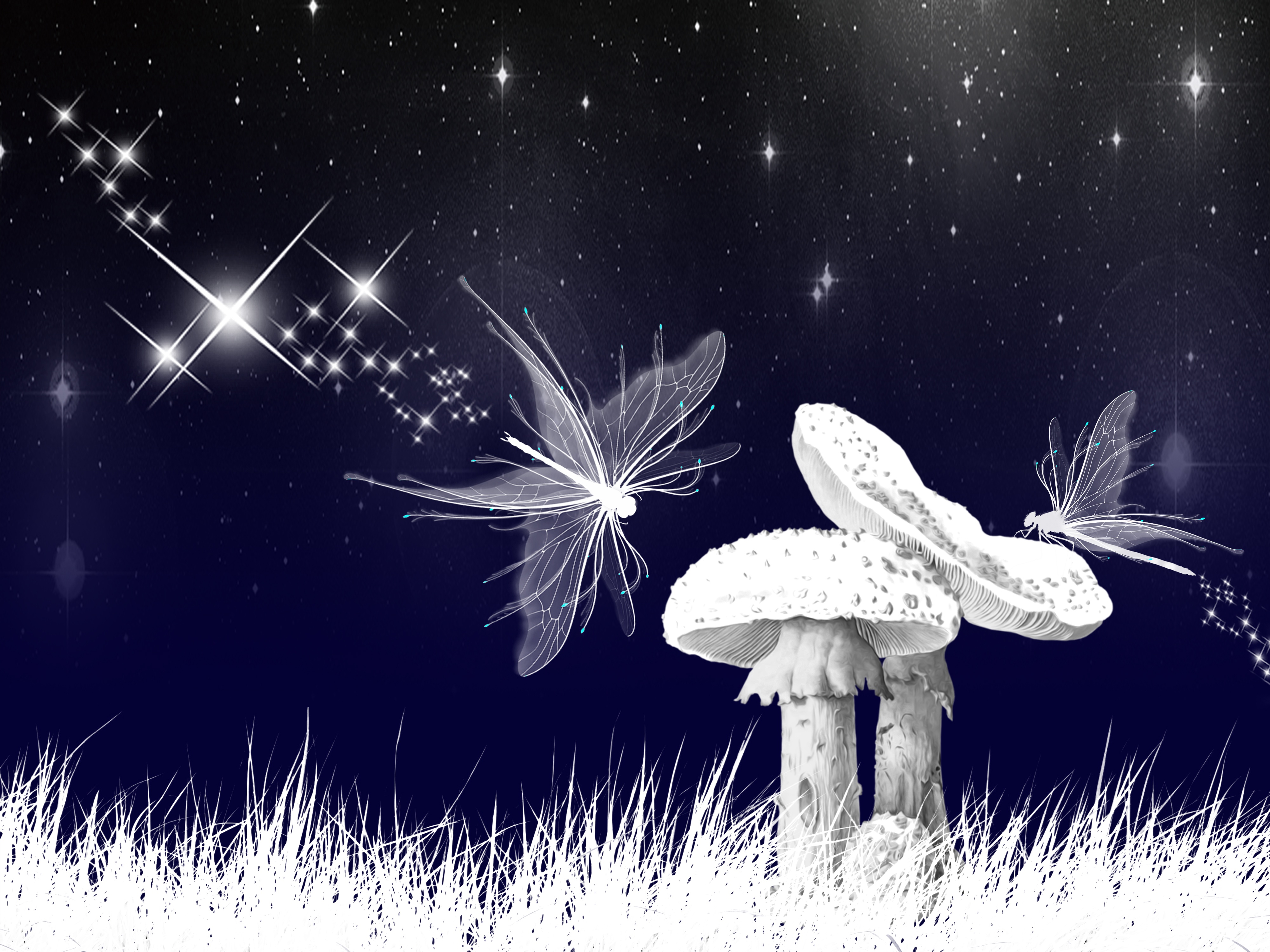 Download mobile wallpaper Mushroom, Artistic, Dragonfly for free.