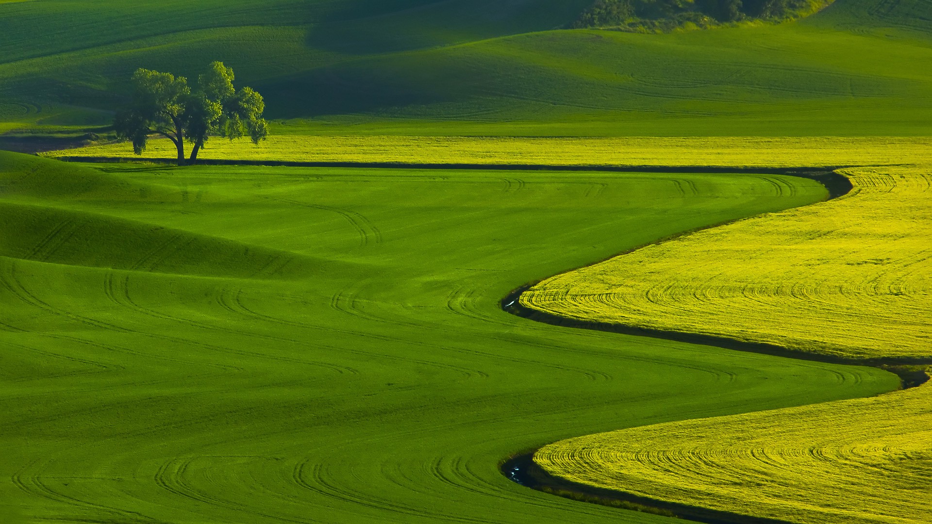 Download mobile wallpaper Field, Earth for free.
