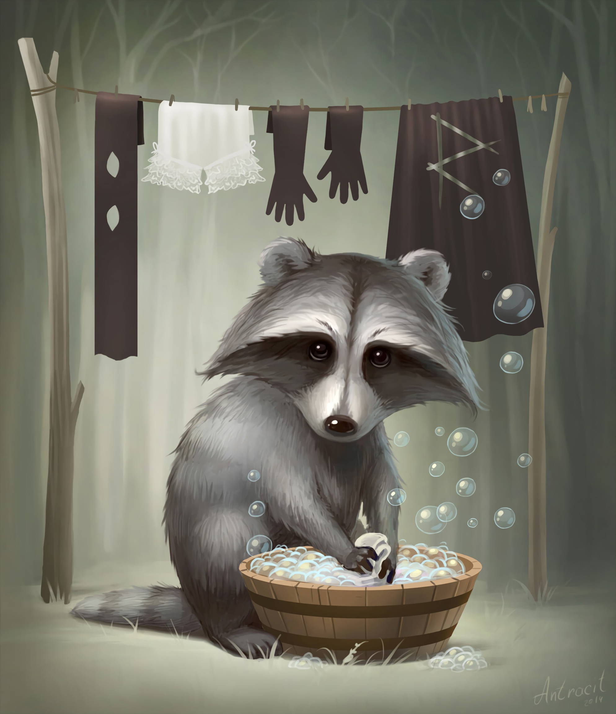 art, nice, sweetheart, raccoon lock screen backgrounds
