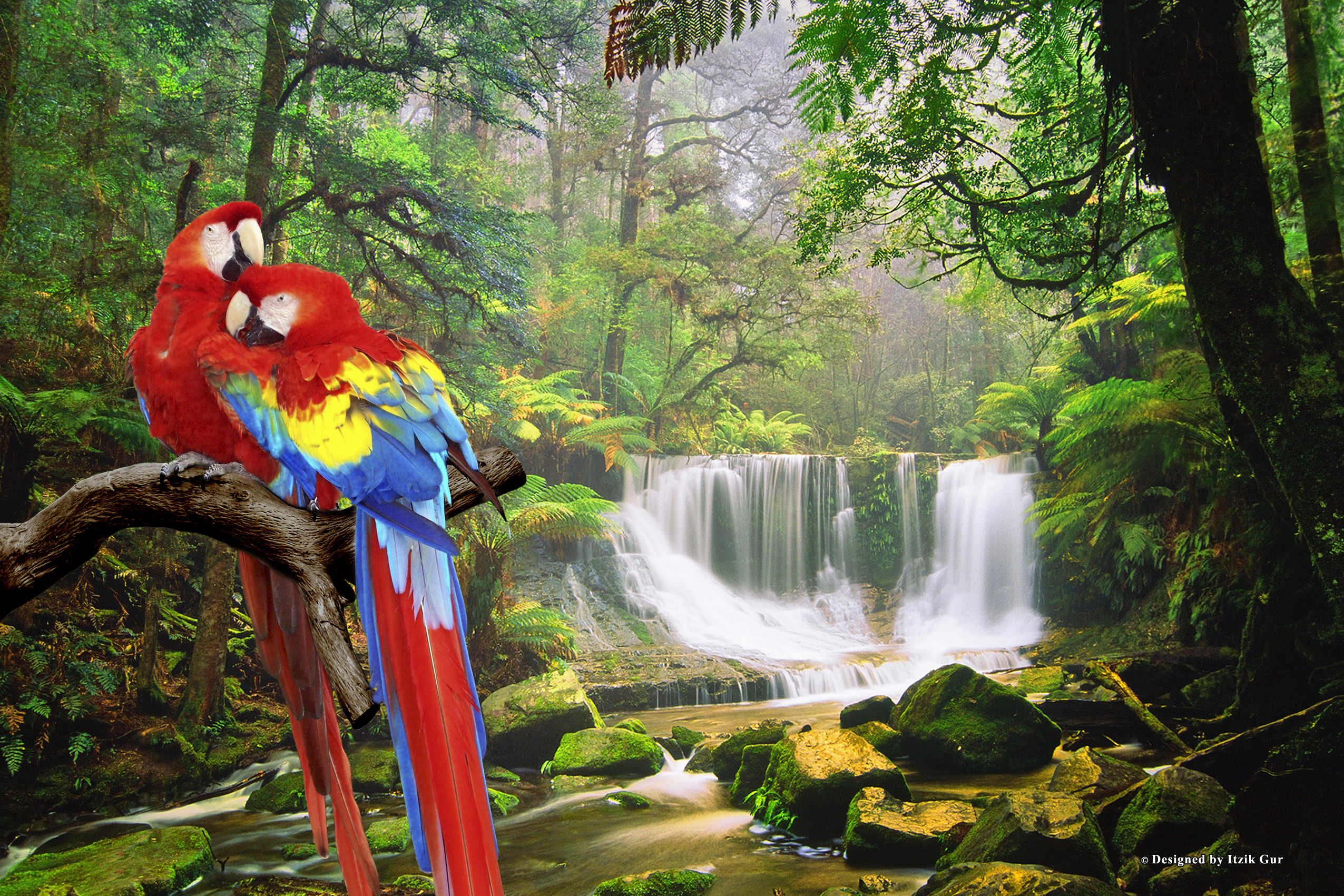 333586 скачать обои водопад, животные, алый ара, лес, природа, попугай, птицы - заставки и картинки бесплатно