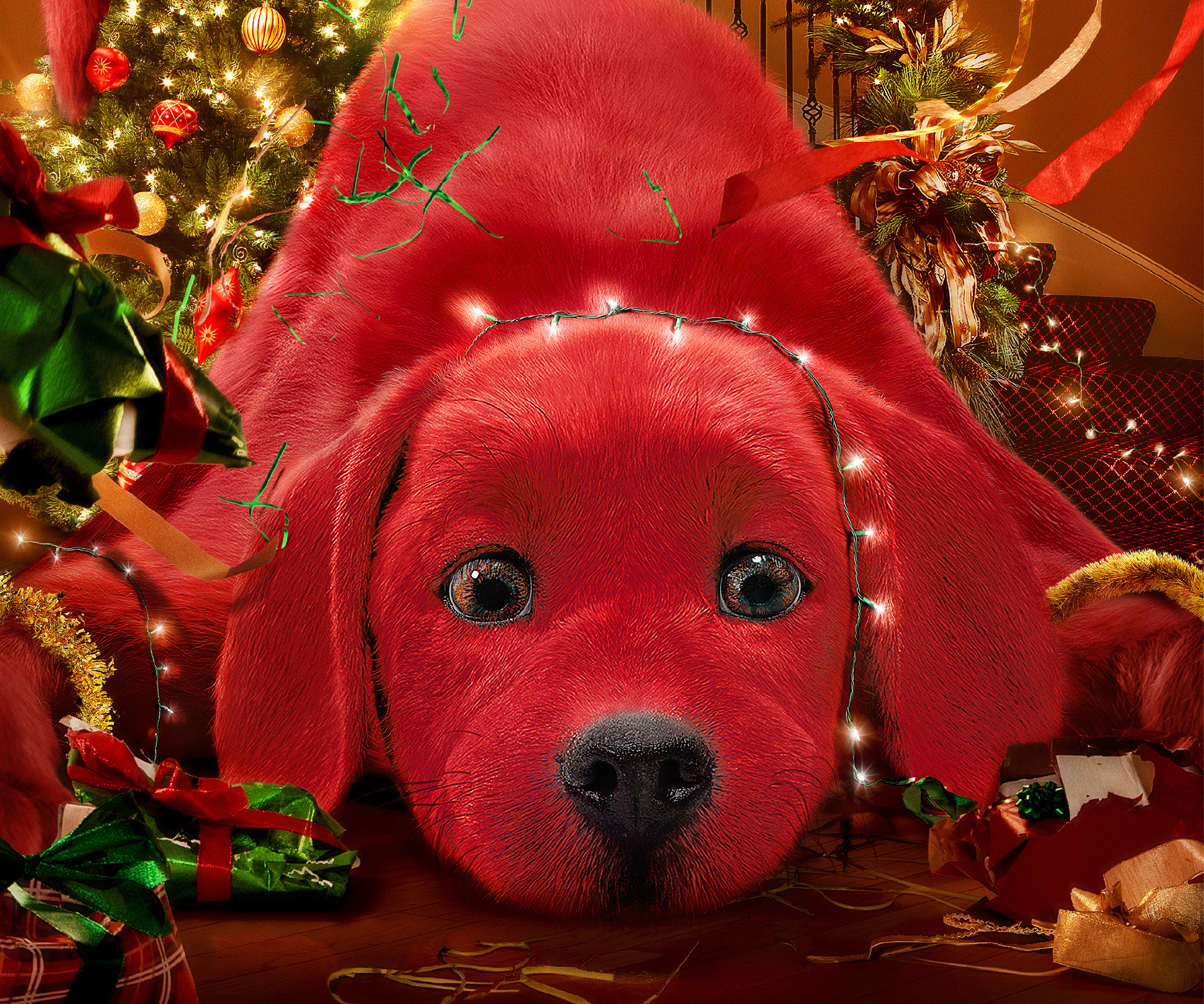 1049552 скачать обои большой красный пёс клиффорд, кино, собака - заставки и картинки бесплатно
