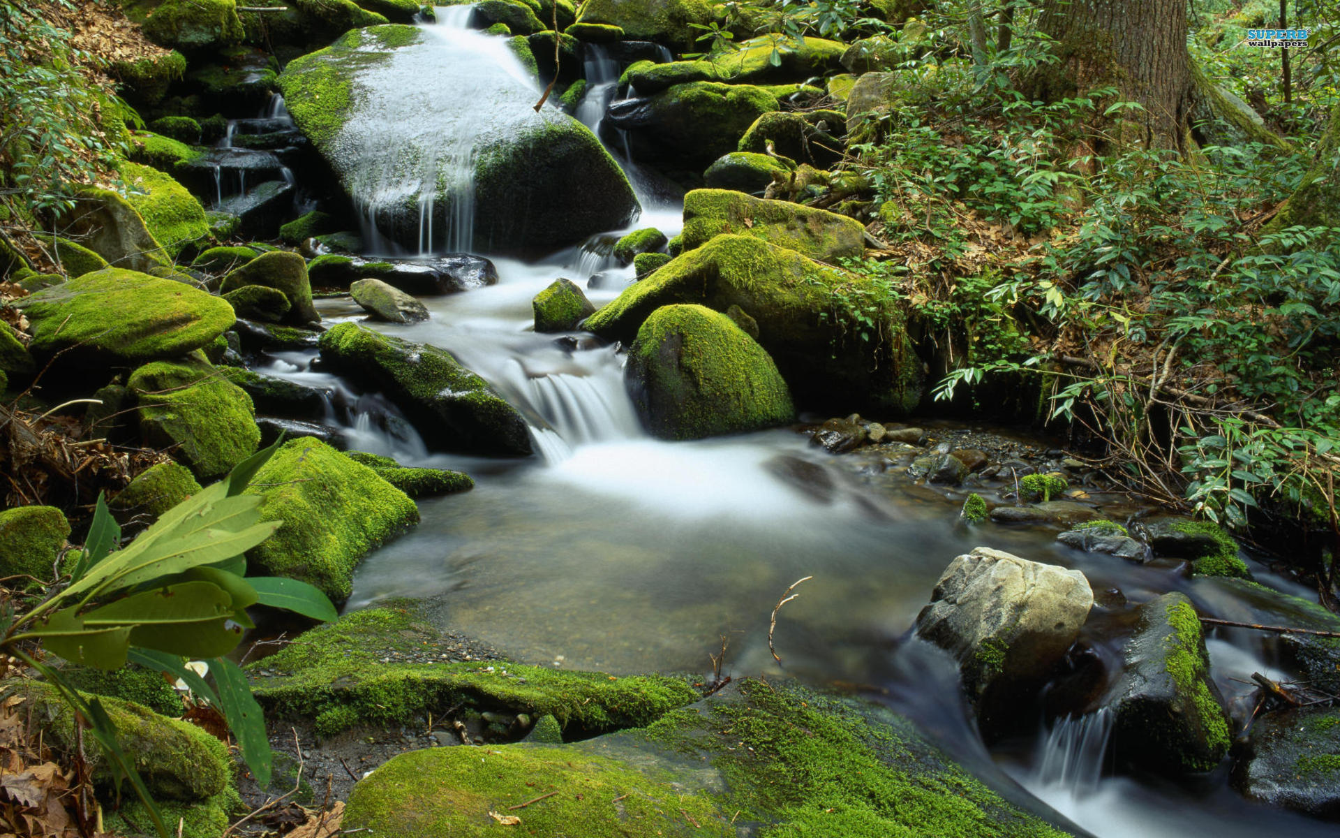 Baixe gratuitamente a imagem Rio, Terra/natureza na área de trabalho do seu PC