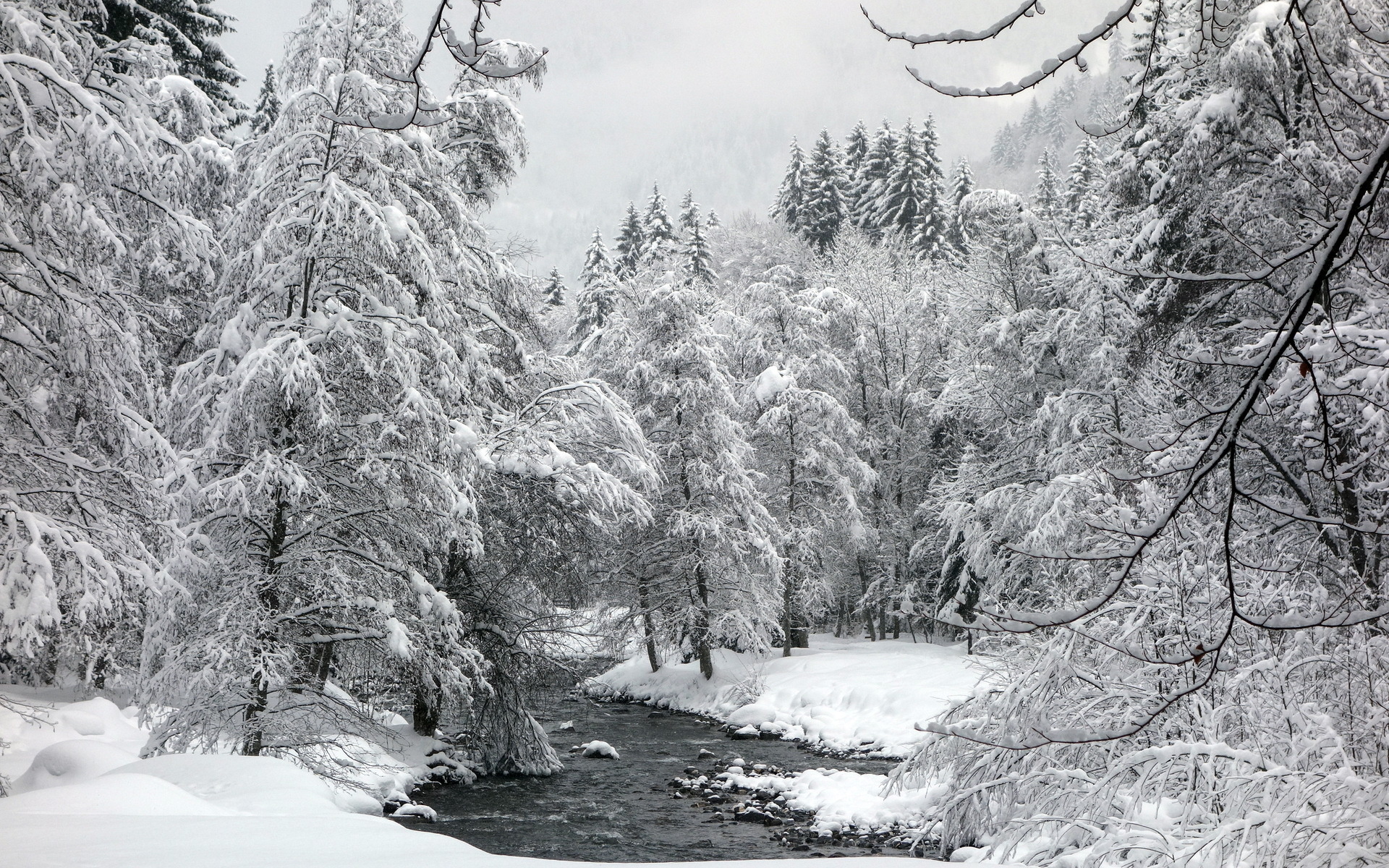 Descarga gratis la imagen Invierno, Tierra/naturaleza en el escritorio de tu PC