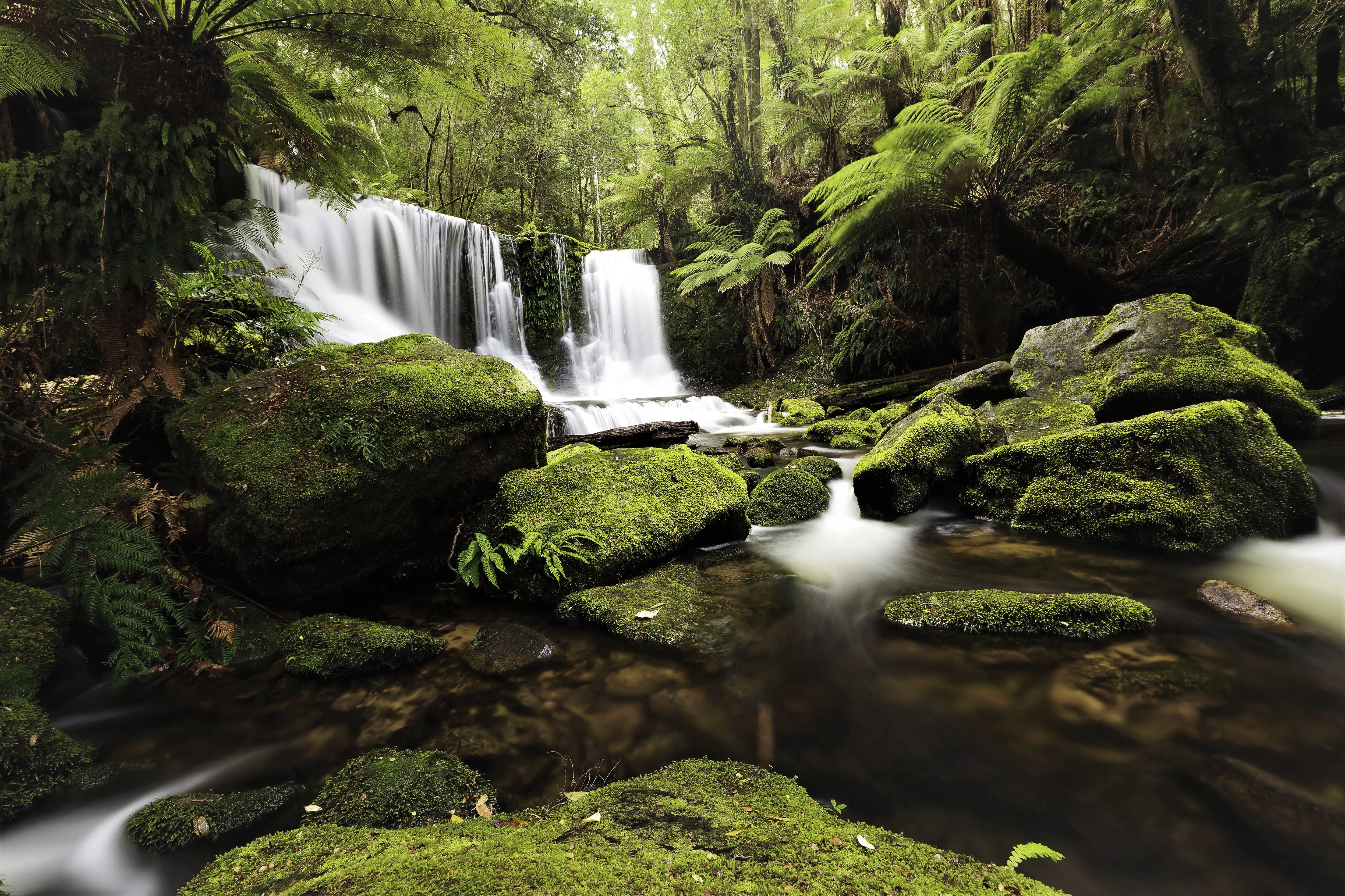 Handy-Wallpaper Wasserfälle, Wasserfall, Dschungel, Erde/natur, Regenwald kostenlos herunterladen.
