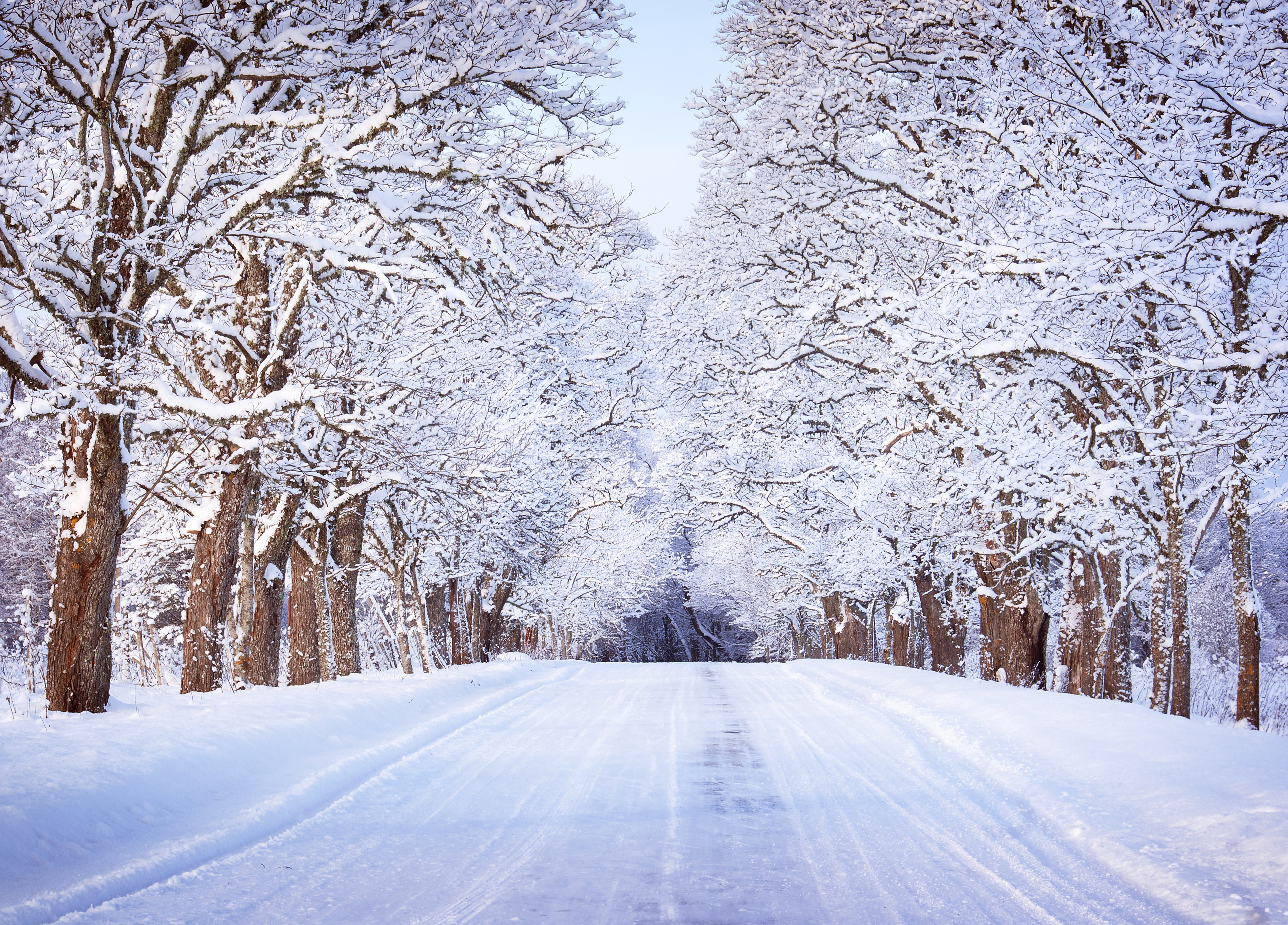 Download mobile wallpaper Winter, Snow, Road, Tree, Earth for free.