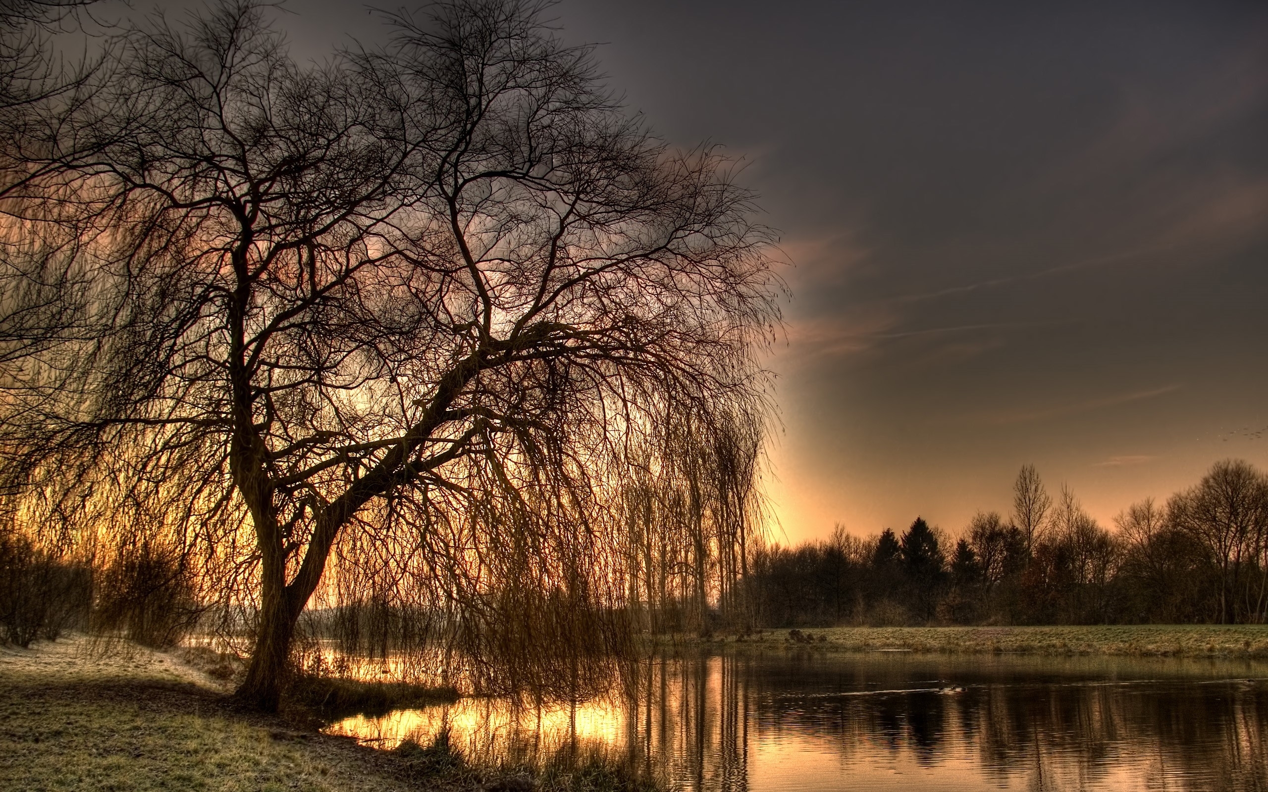 Laden Sie das Landschaft, Bäume, Sunset, Fotokunst, Flüsse-Bild kostenlos auf Ihren PC-Desktop herunter