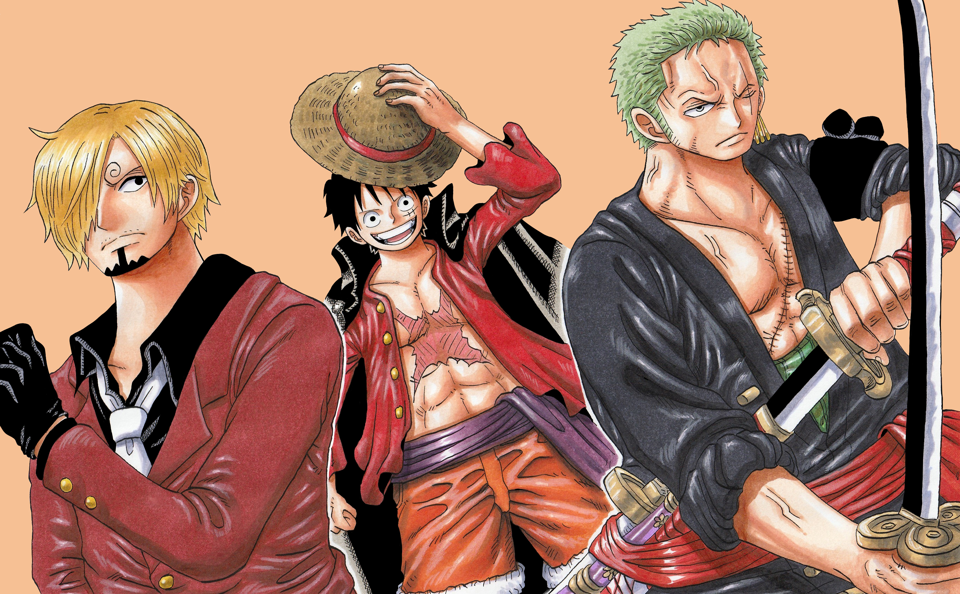 Laden Sie das Animes, One Piece, Roronoa Zorro, Affe D Luffy, Sanji (Einteiler)-Bild kostenlos auf Ihren PC-Desktop herunter
