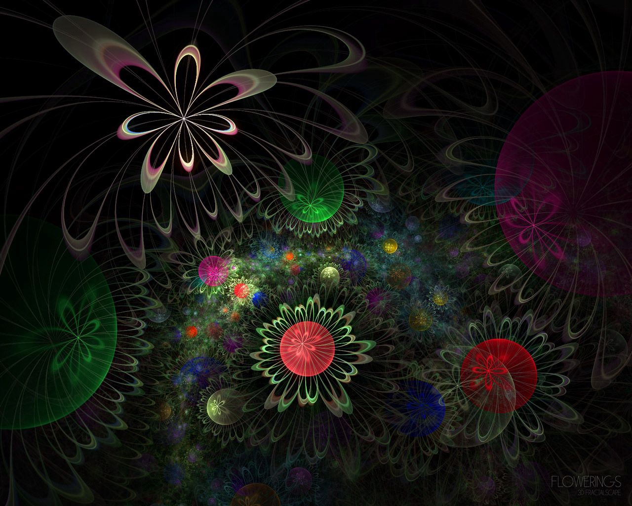 forms, circles, abstract, flowers, form, fractal HD wallpaper