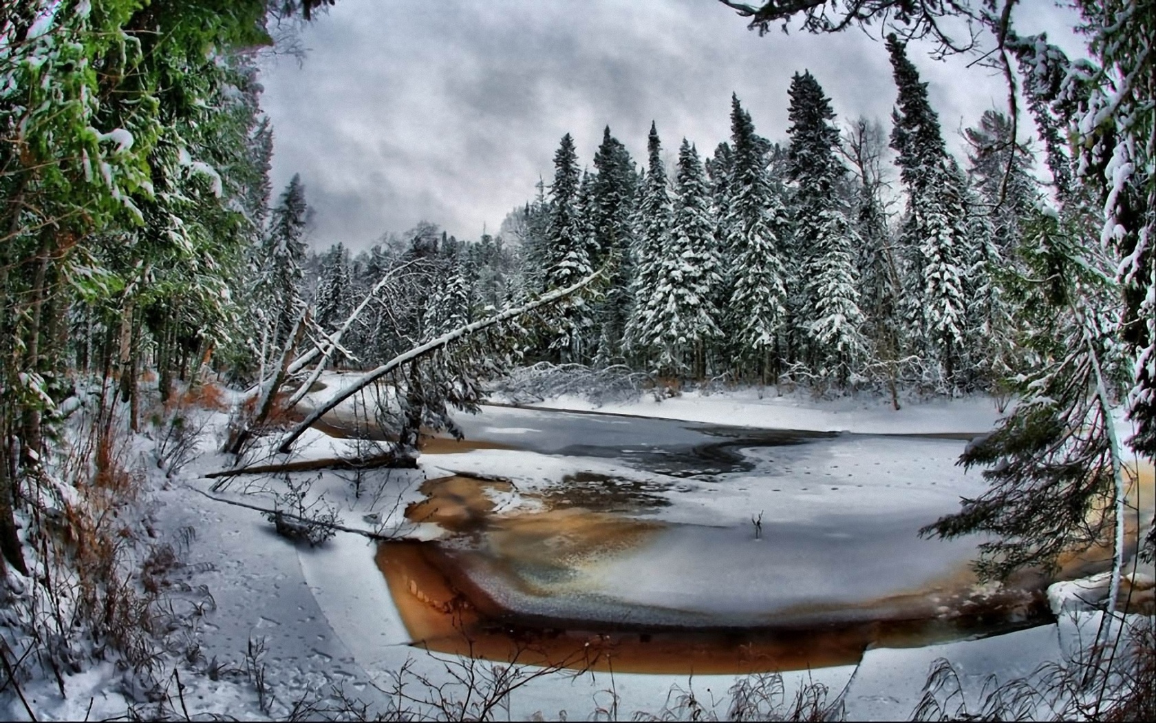 Téléchargez gratuitement l'image Hiver, Terre/nature sur le bureau de votre PC