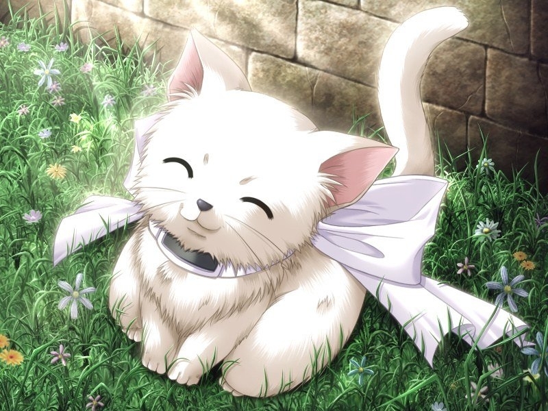 Handy-Wallpaper Katzen, Anime kostenlos herunterladen.