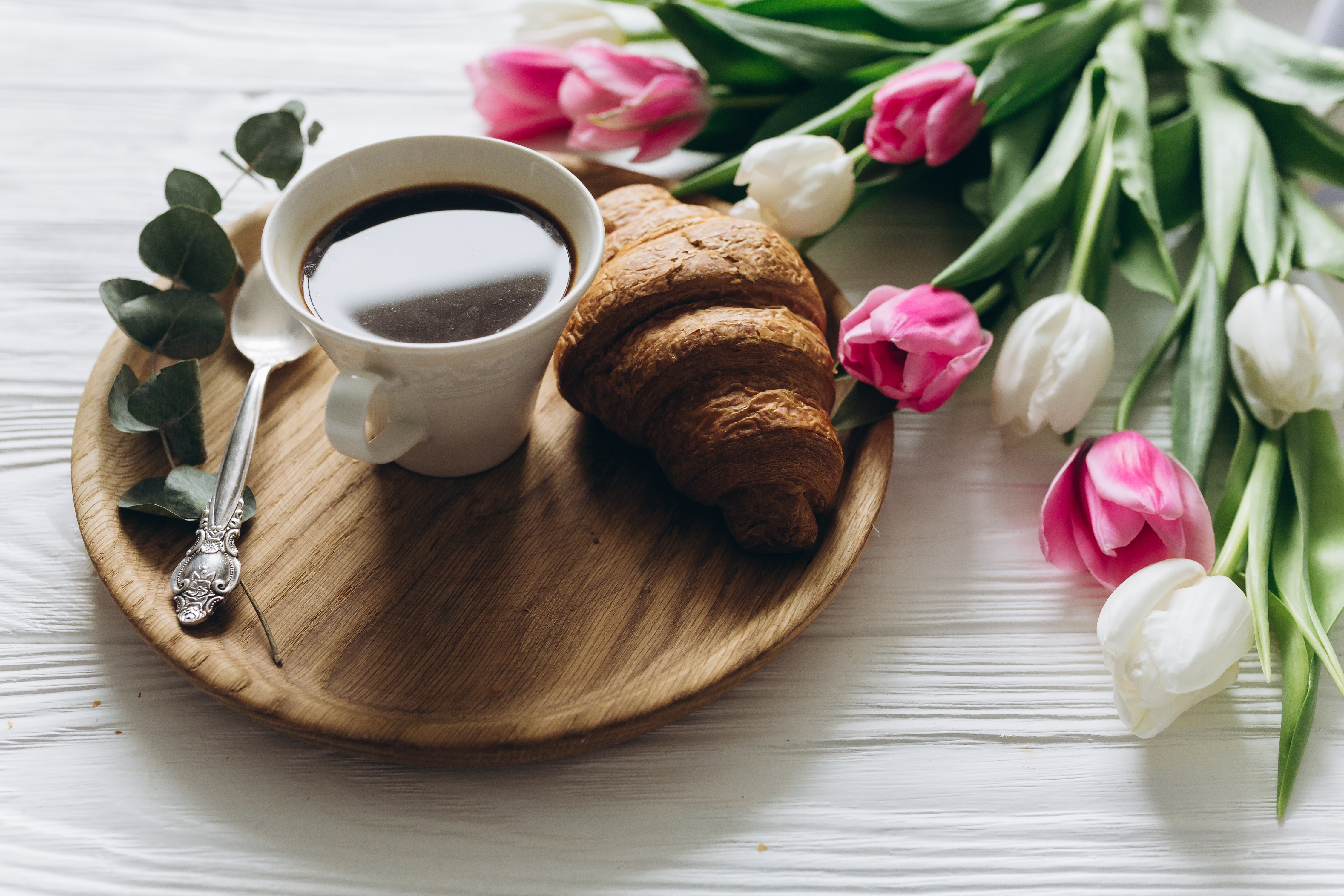 Free download wallpaper Food, Coffee, Still Life, Flower, Cup, Tulip, Croissant, White Flower, Pink Flower on your PC desktop