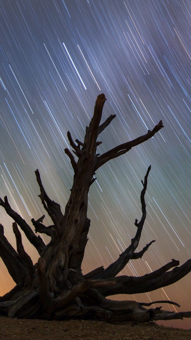 Baixar papel de parede para celular de Céu, Noite, Terra/natureza, Trilha Das Estrelas gratuito.