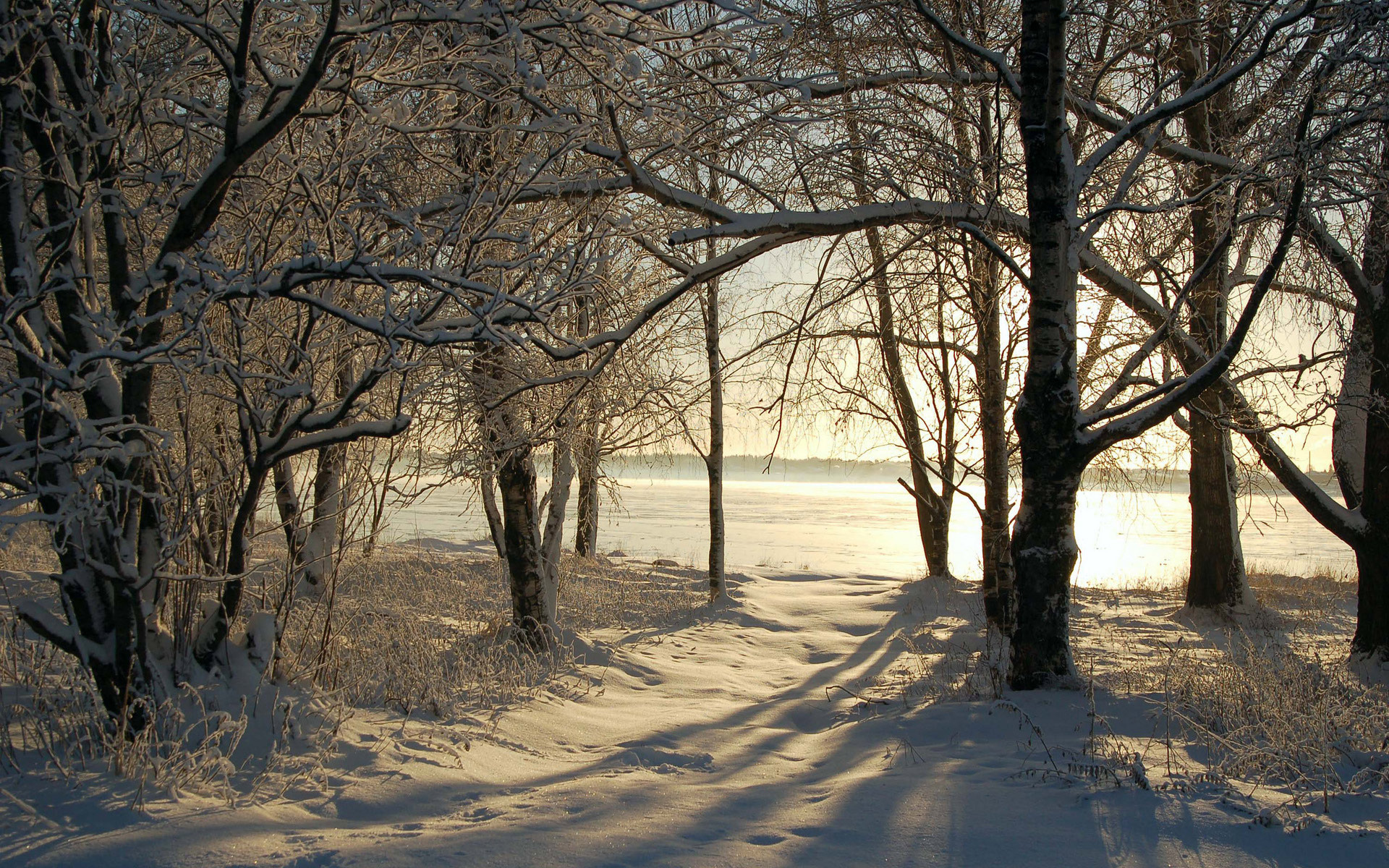 Descarga gratis la imagen Invierno, Tierra/naturaleza en el escritorio de tu PC