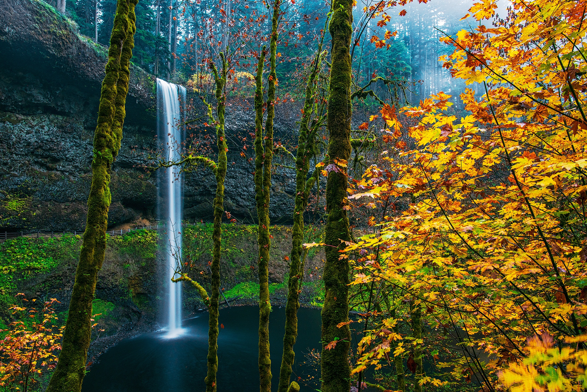 Скачать картинку Осень, Водопады, Водопад, Лес, Куст, Сша, Мох, Орегон, Земля/природа в телефон бесплатно.