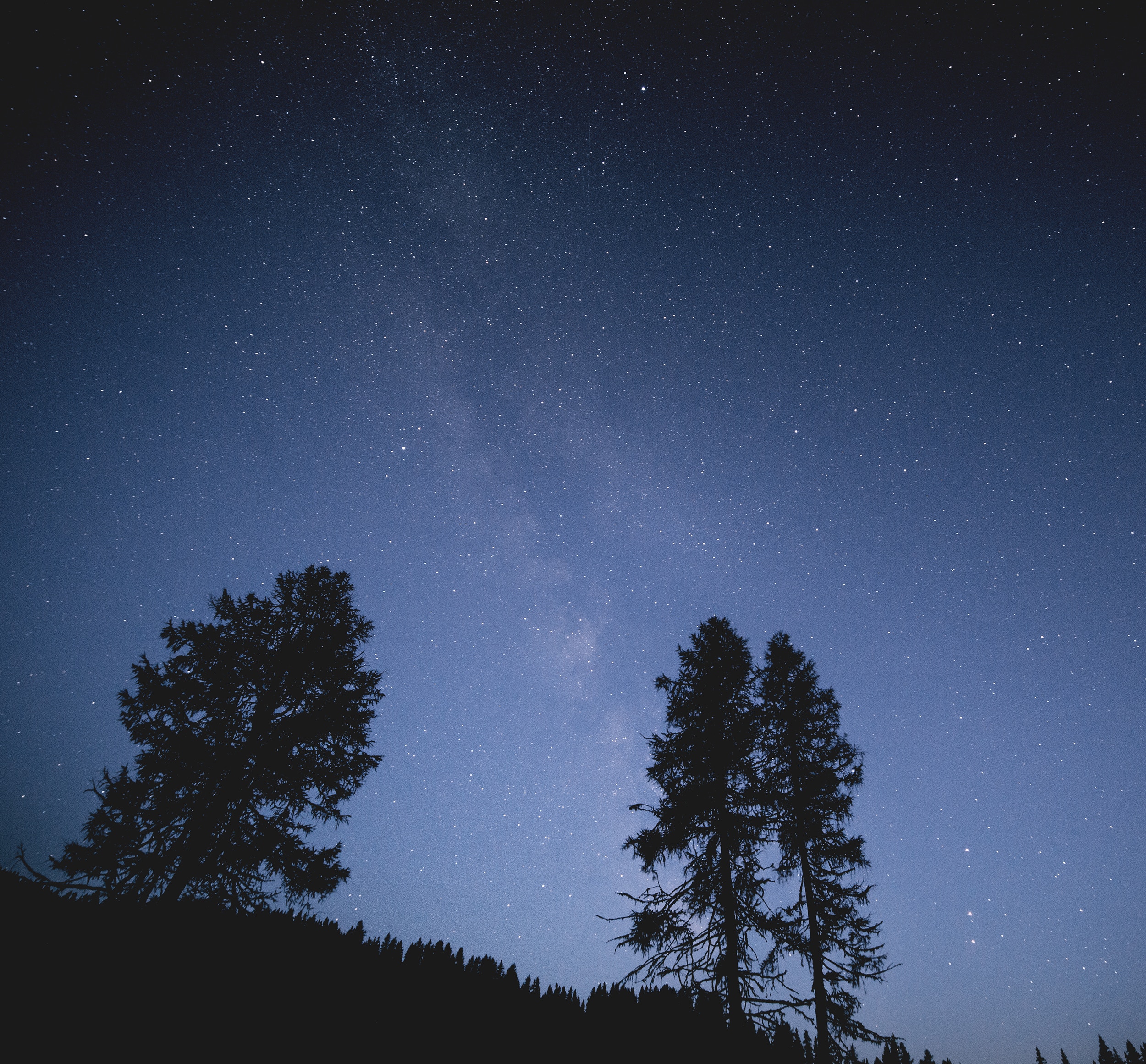Download mobile wallpaper Stars, Trees, Starry Sky, Night, Dark for free.