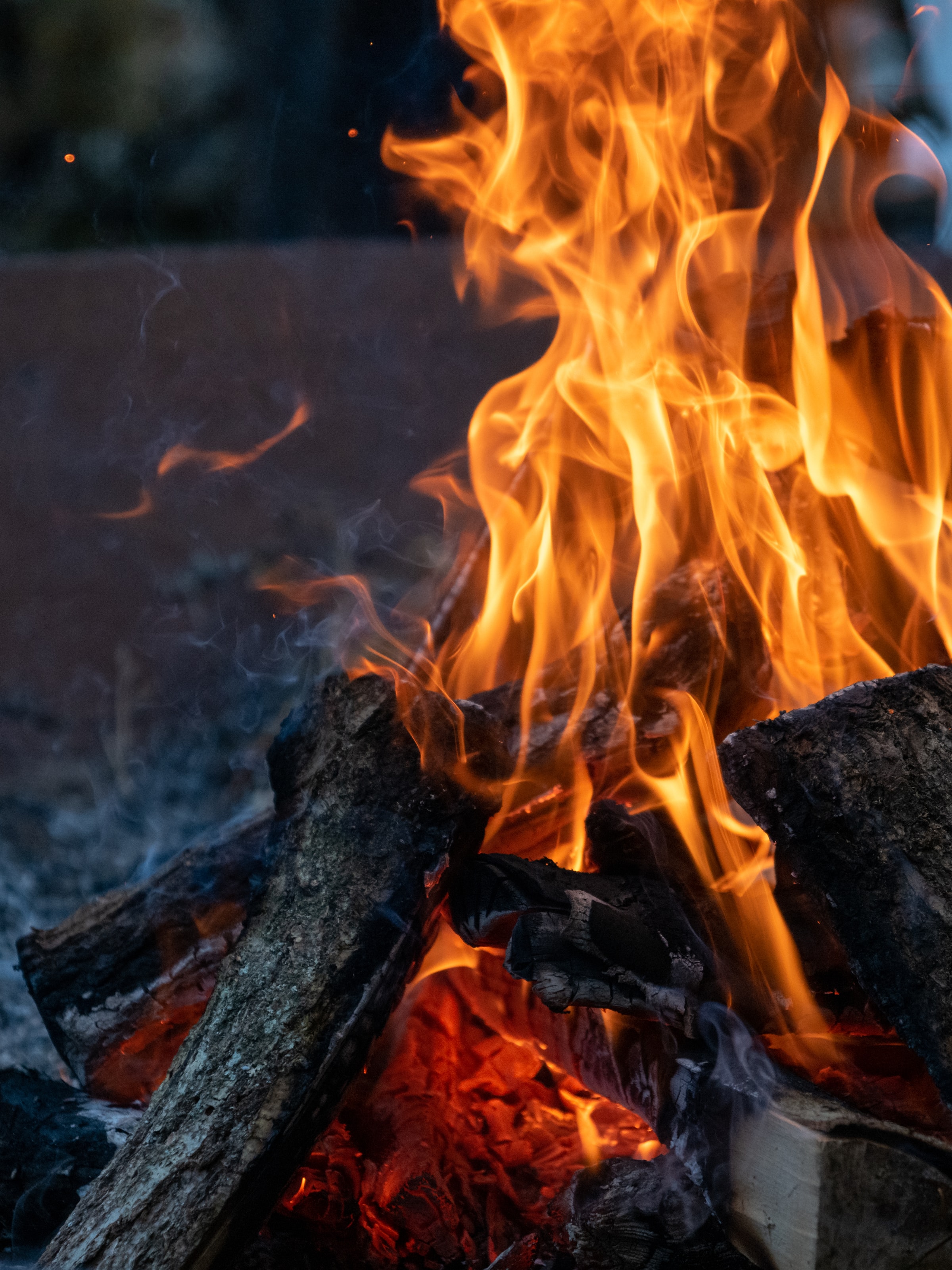 fire, bonfire, flame, miscellanea, miscellaneous, evening, firewood