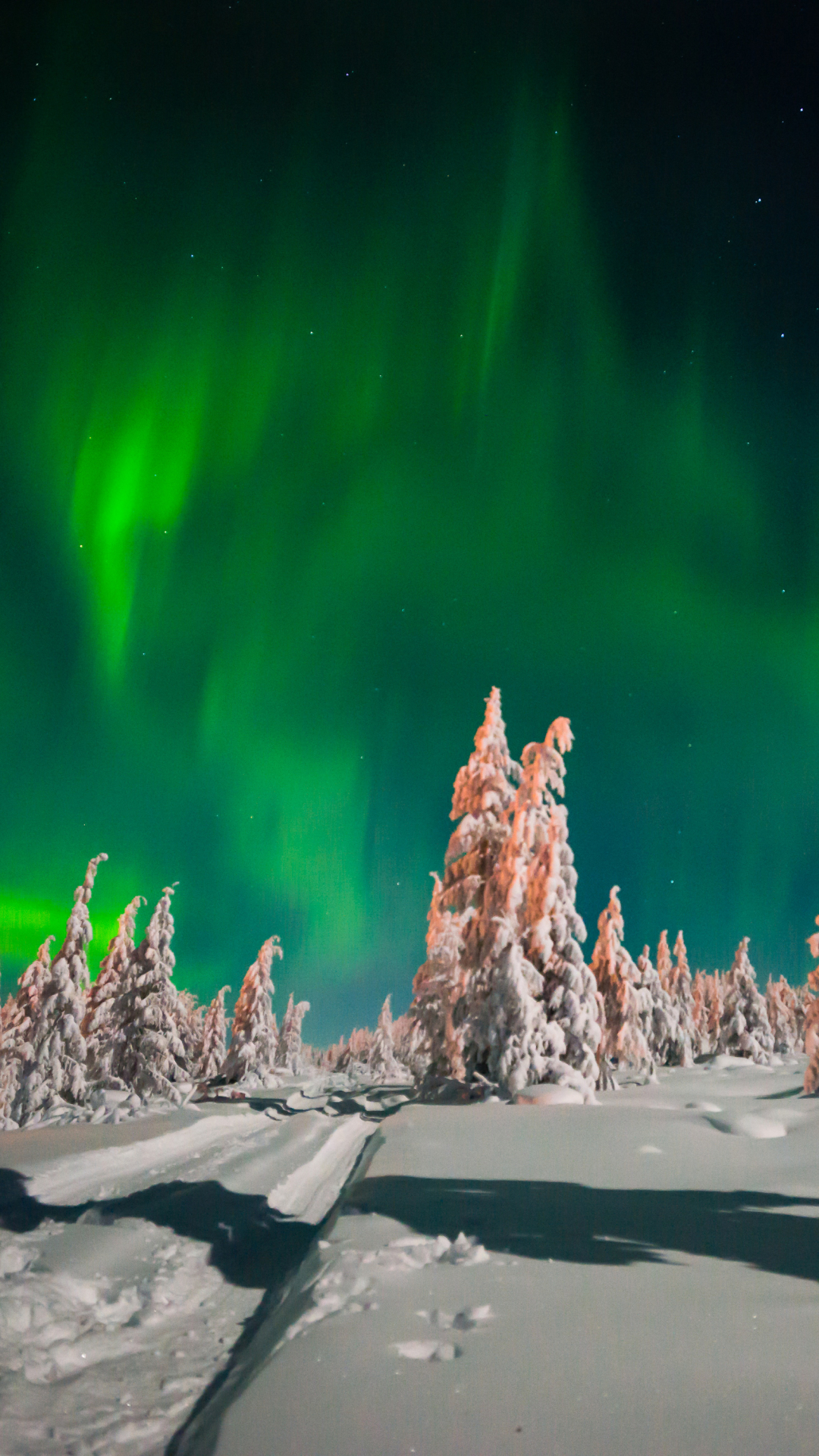 Download mobile wallpaper Winter, Nature, Sky, Night, Snow, Light, Earth, Aurora Borealis for free.