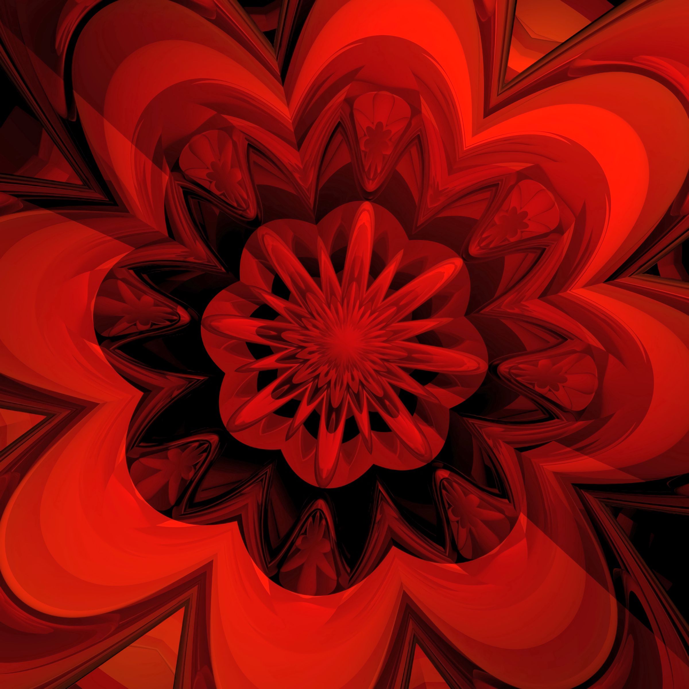 135076 descargar imagen abstracción, rojo, flor, fractal, digital: fondos de pantalla y protectores de pantalla gratis