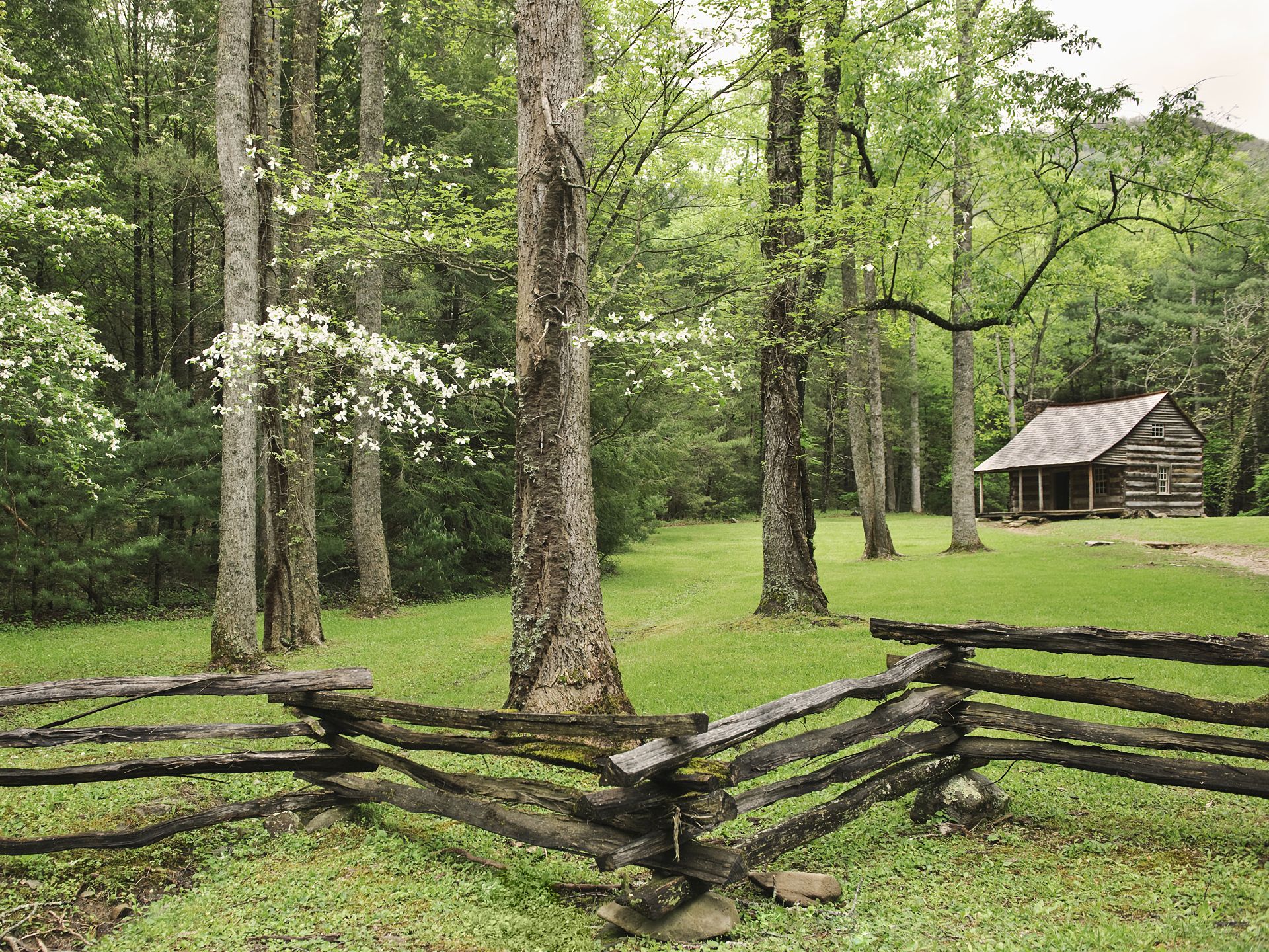 Free download wallpaper Forest, Tree, Fence, Cabin, Man Made on your PC desktop