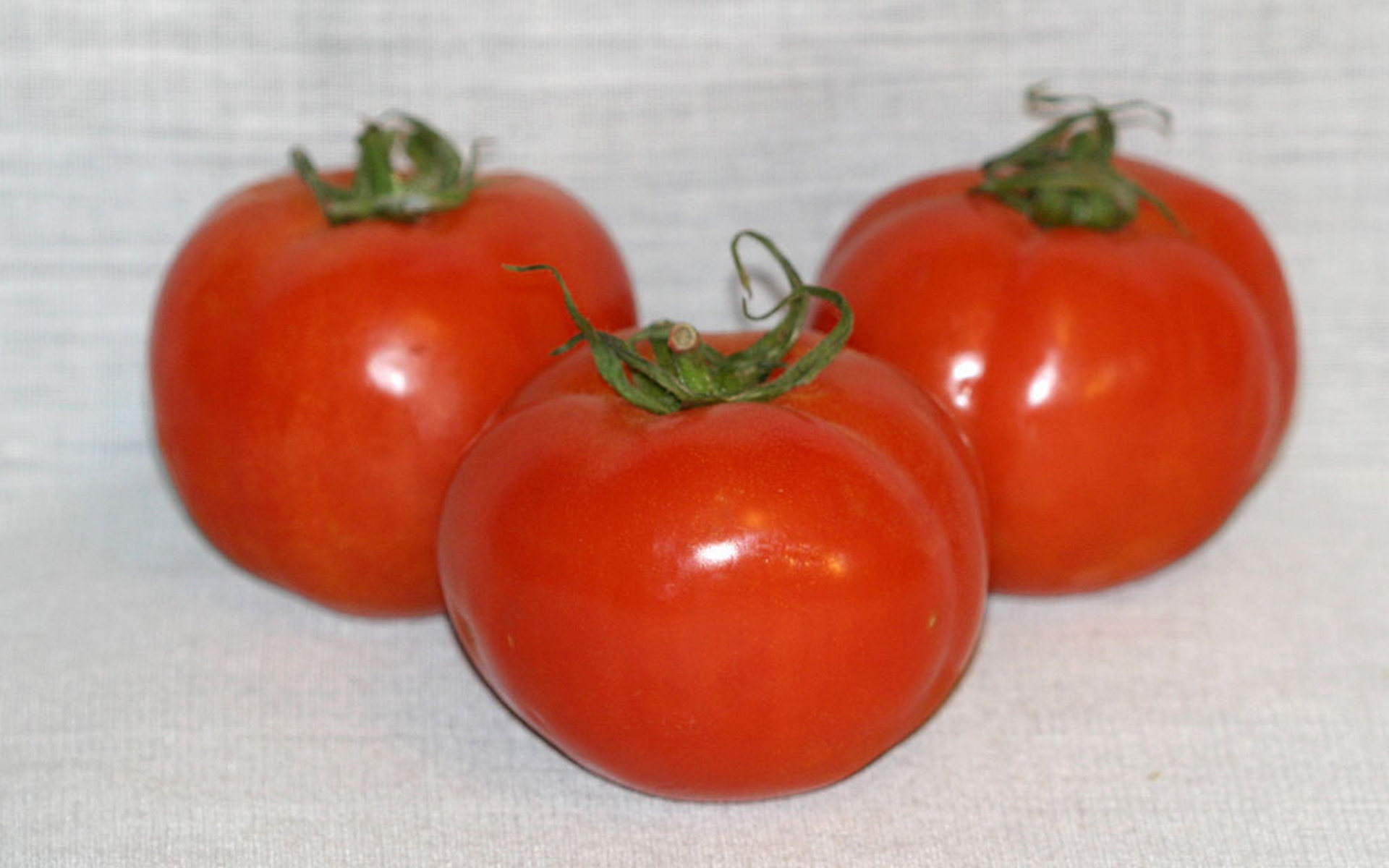Handy-Wallpaper Tomate, Früchte, Nahrungsmittel kostenlos herunterladen.