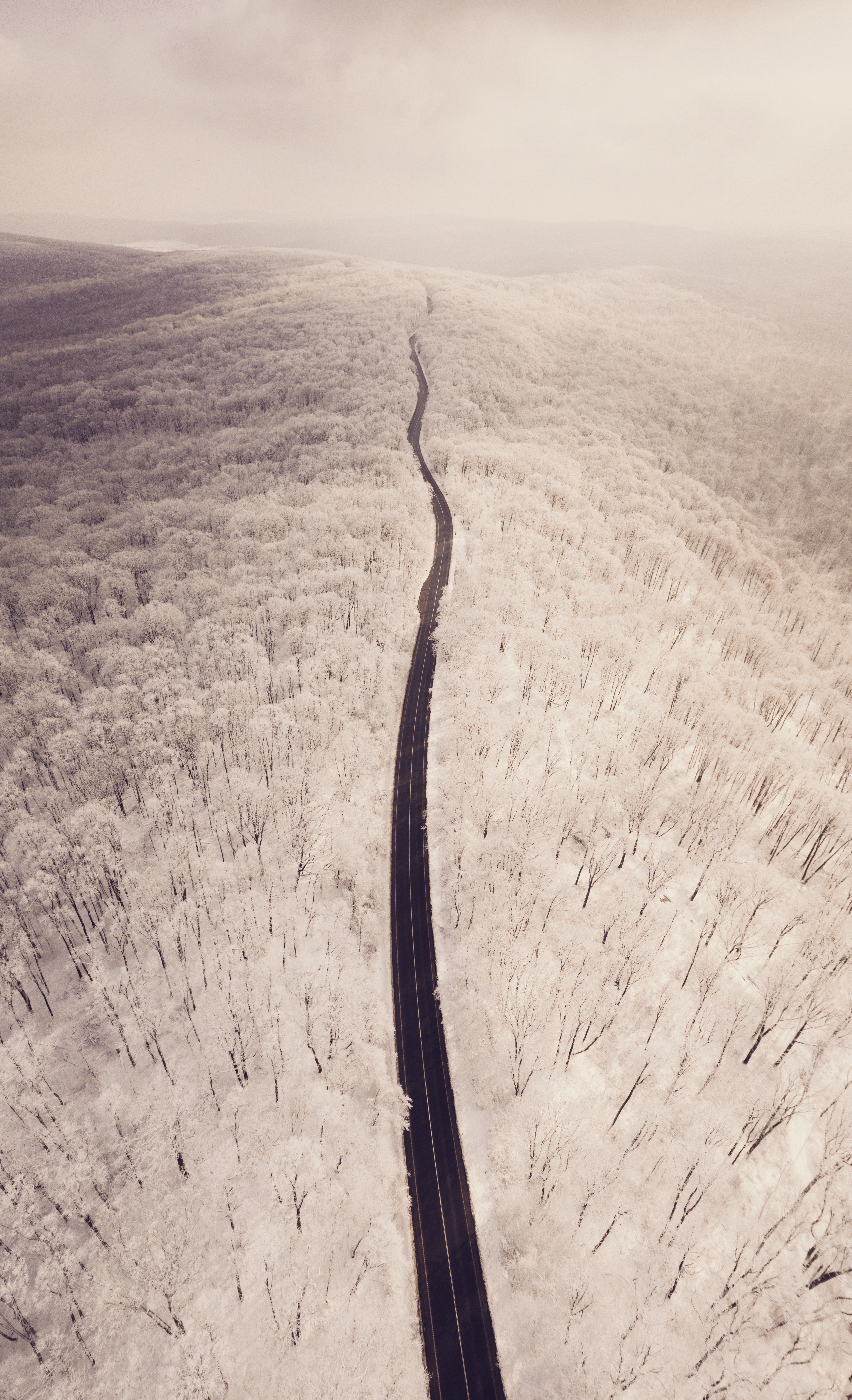 Download mobile wallpaper Trees, Road, Forest, View From Above, Nature, Winter, Snow for free.